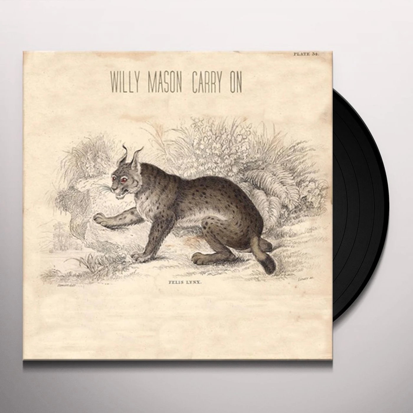 Willy Mason Carry On Vinyl Record