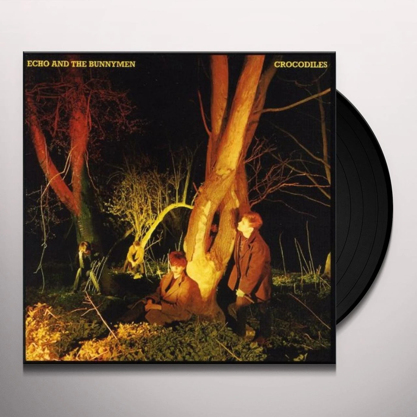 Echo & the Bunnymen CROCODILES (Vinyl)