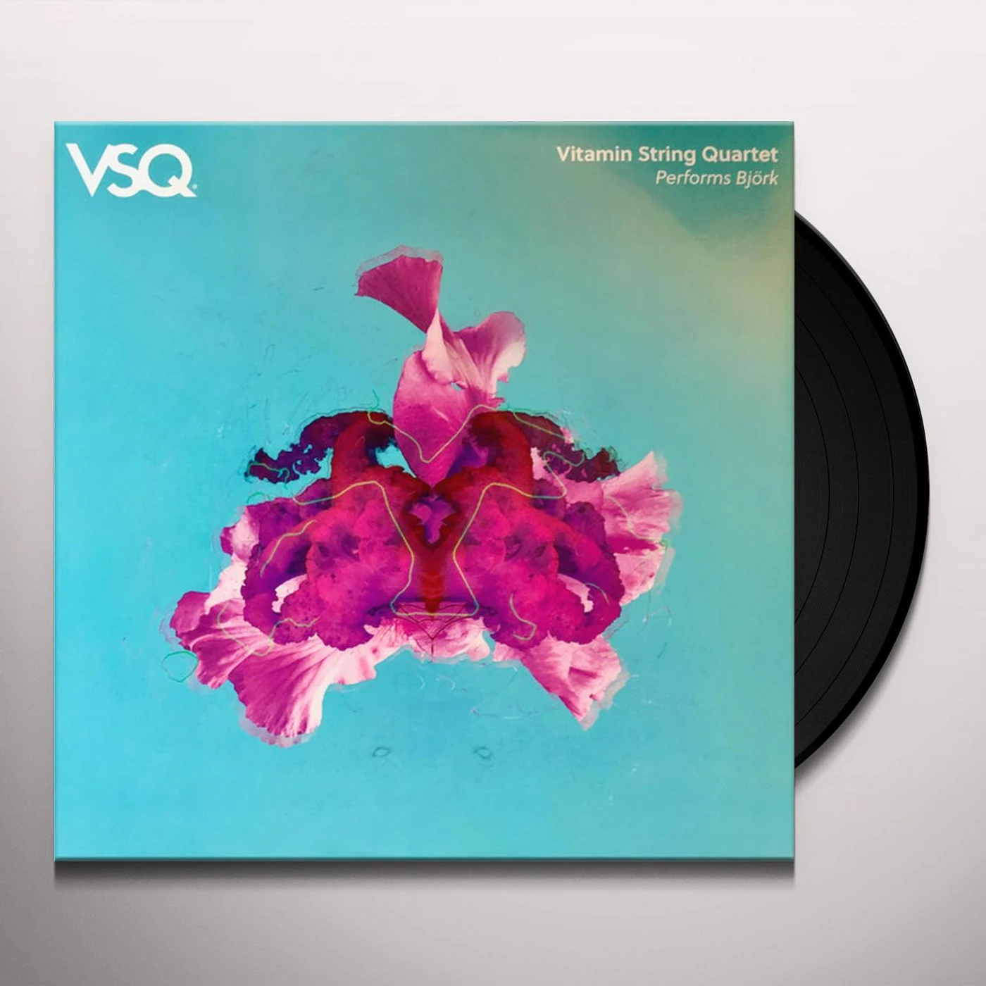 Vitamin String Quartet PERFORMS BJORK Vinyl Record