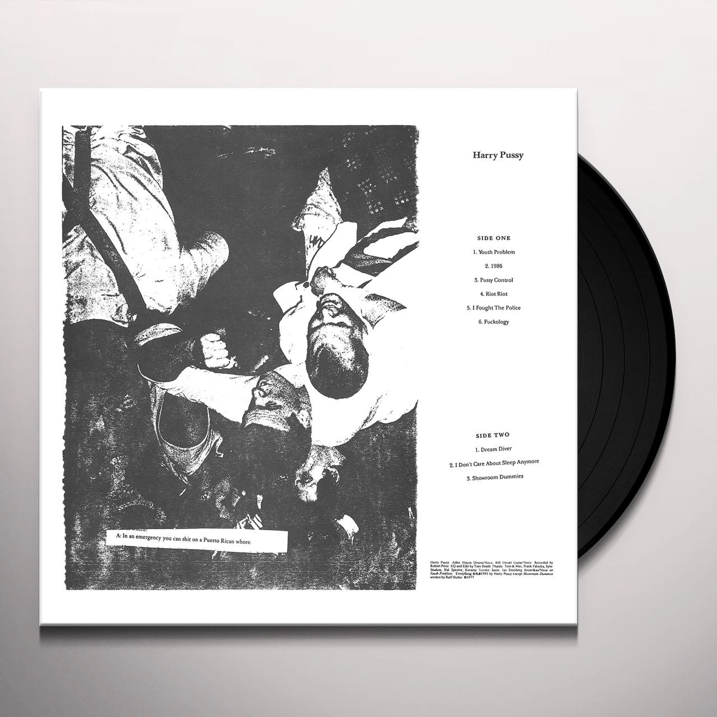 Harry Pussy Vinyl Record