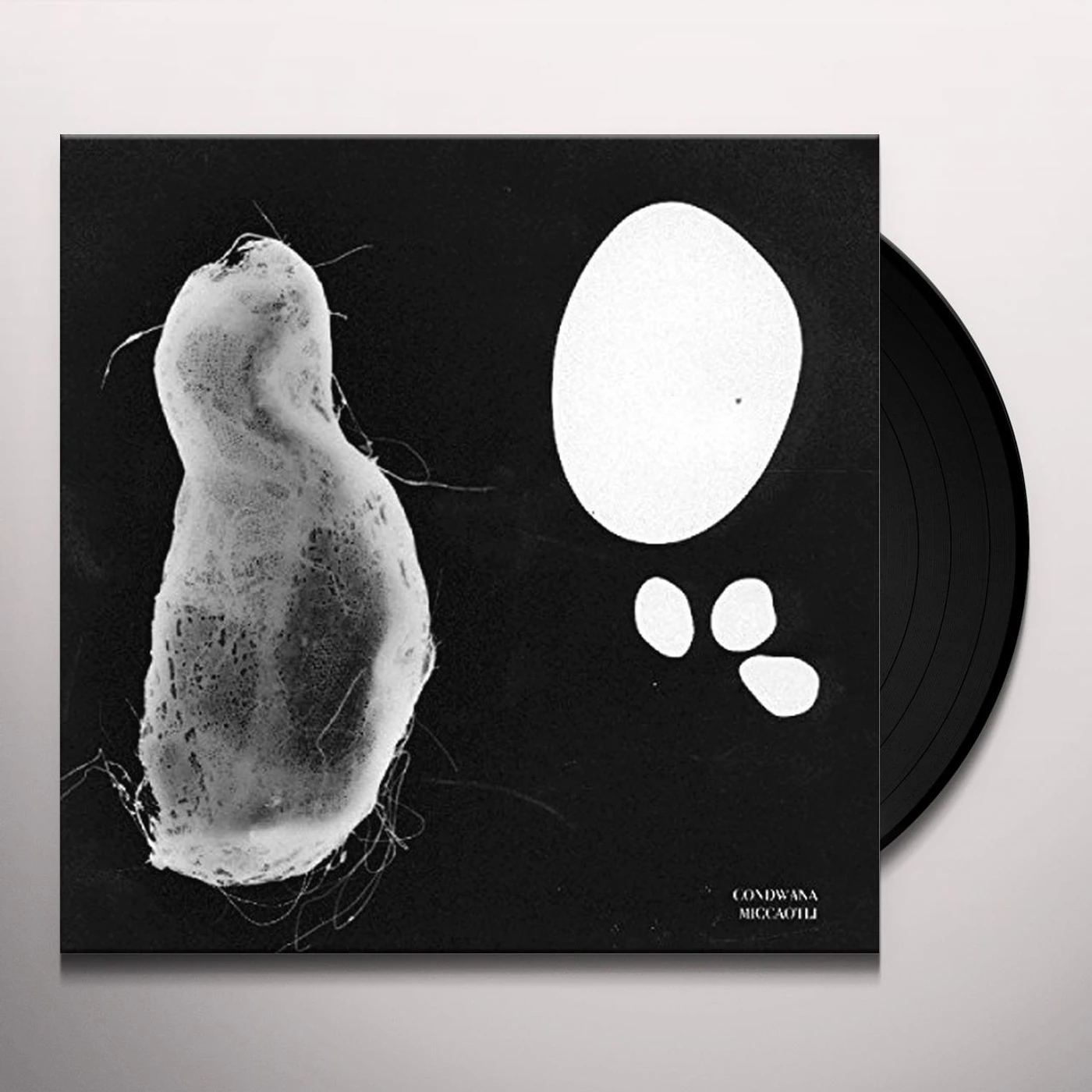 Gondwana MICCAOTLI Vinyl Record