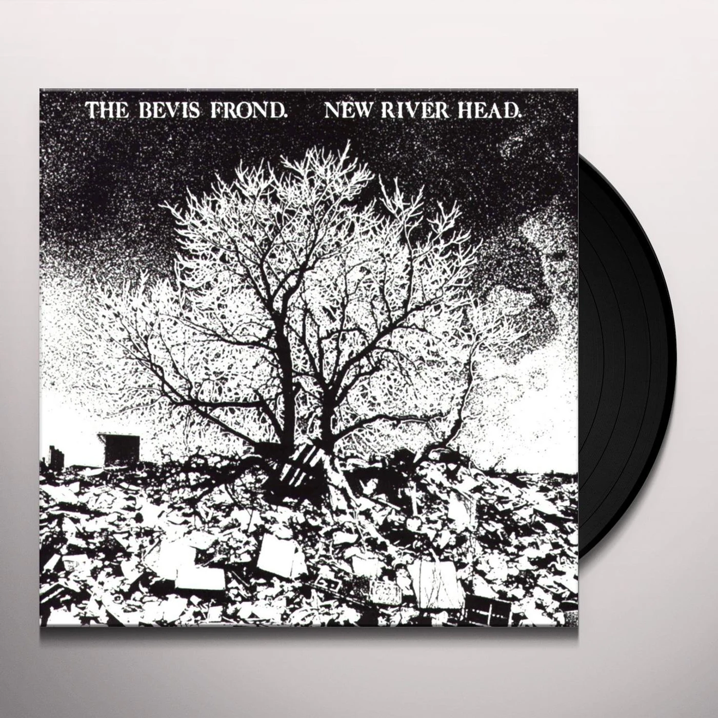 The Bevis Frond New River Head Vinyl Record