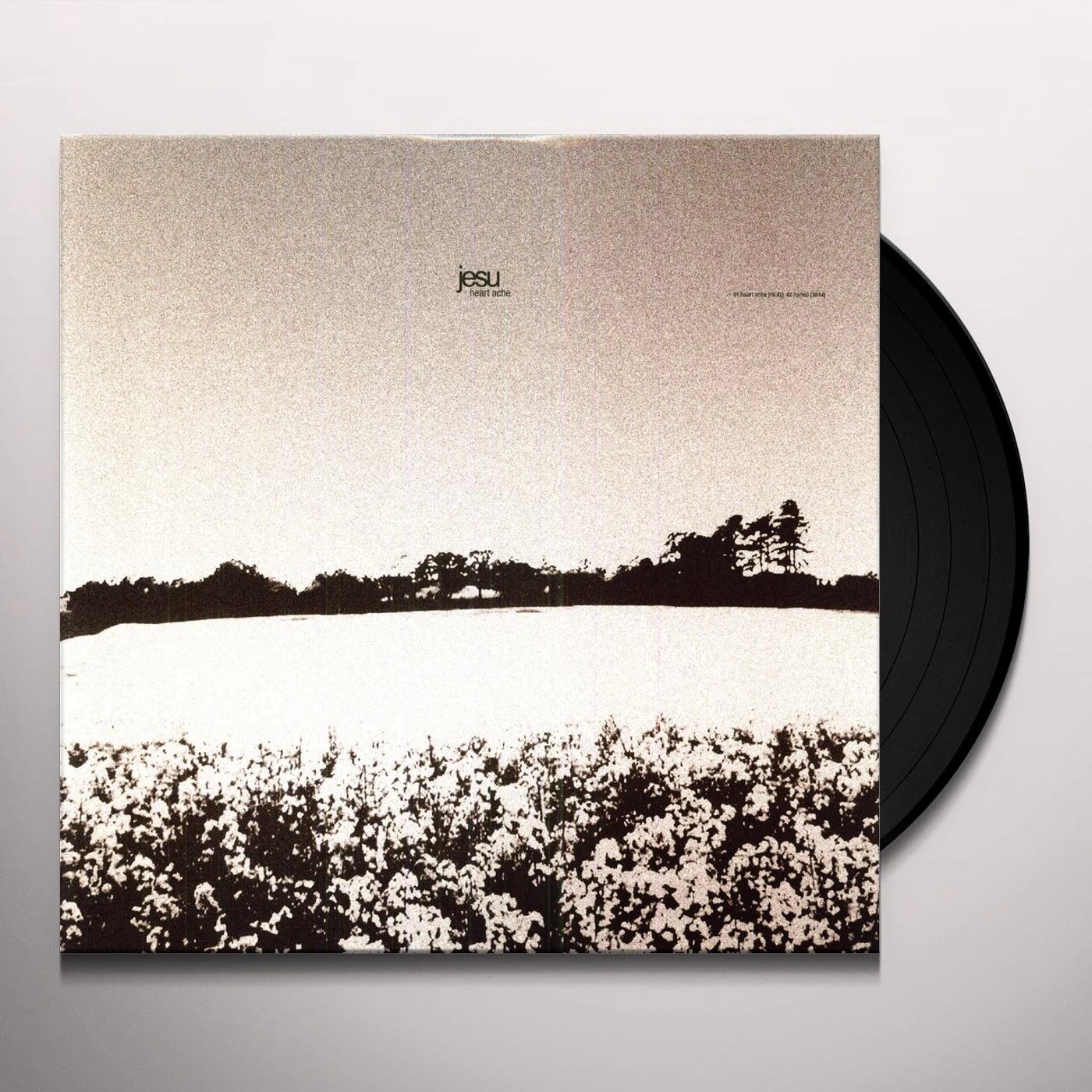 Jesu HEARTACHE & DETHRONED Vinyl Record