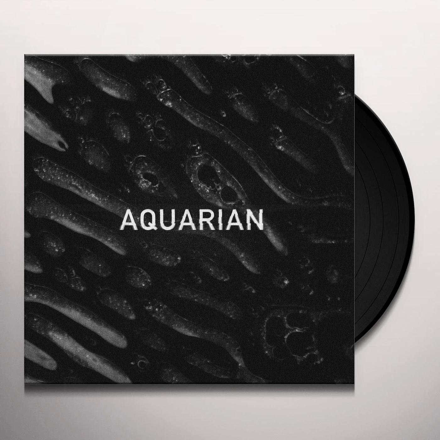 AQUARIAN Vinyl Record