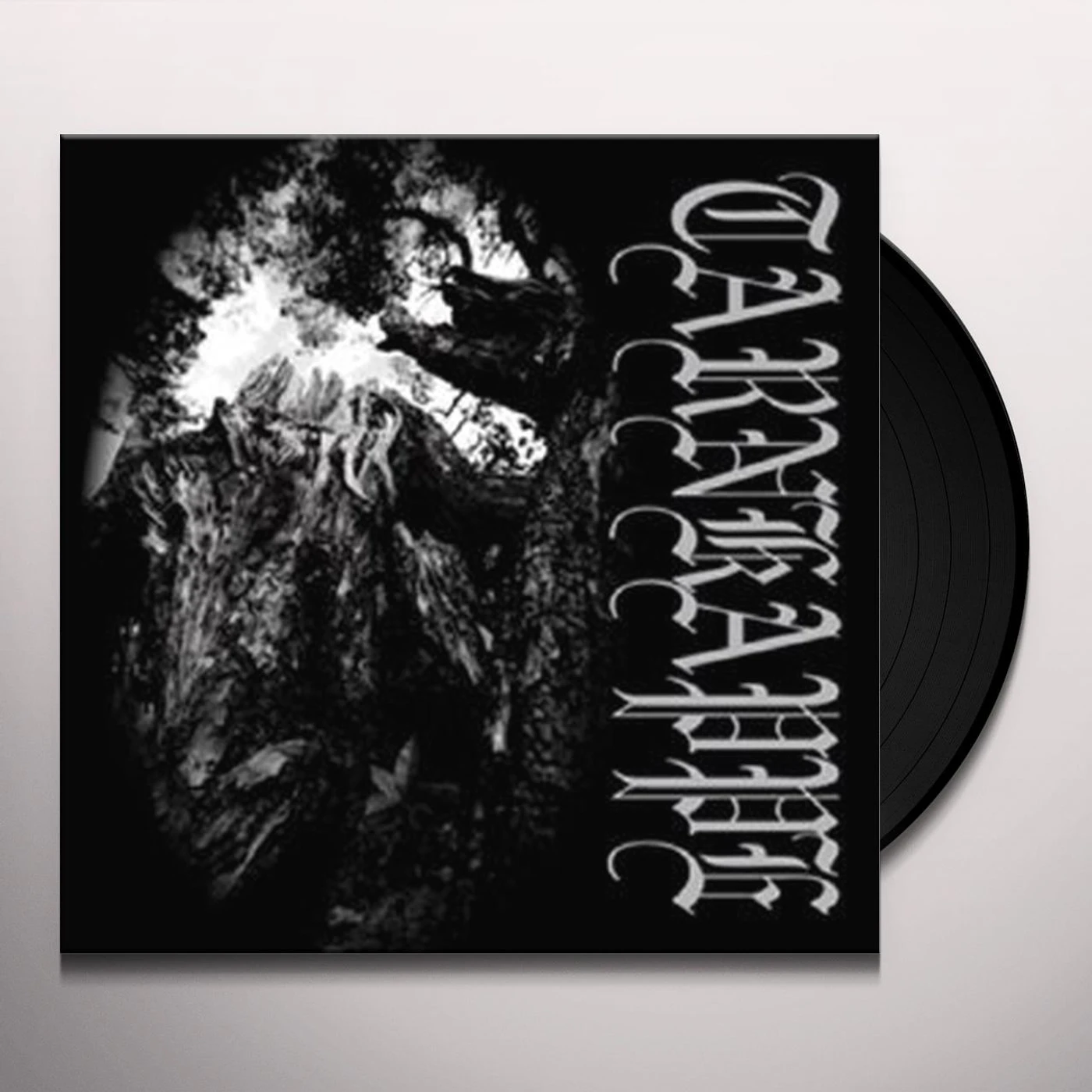 Tarnkappe TUSSEN HUN EN DE ZON Vinyl Record