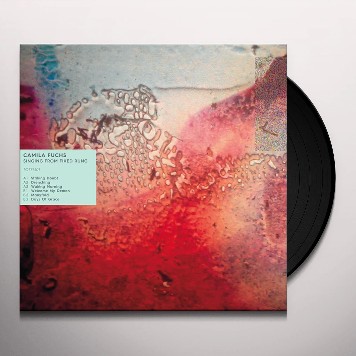 Camila Fuchs Singing From Fixed Rung Vinyl Record