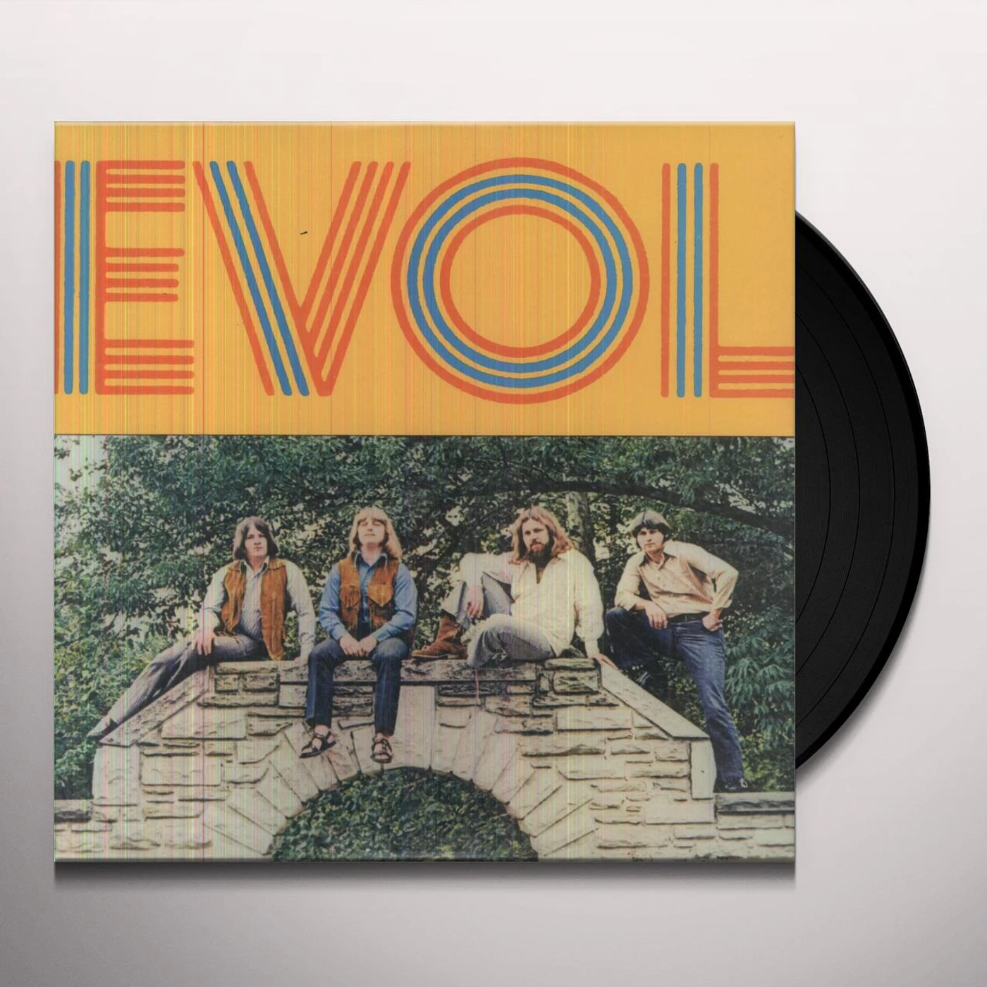 EVOL Vinyl Record