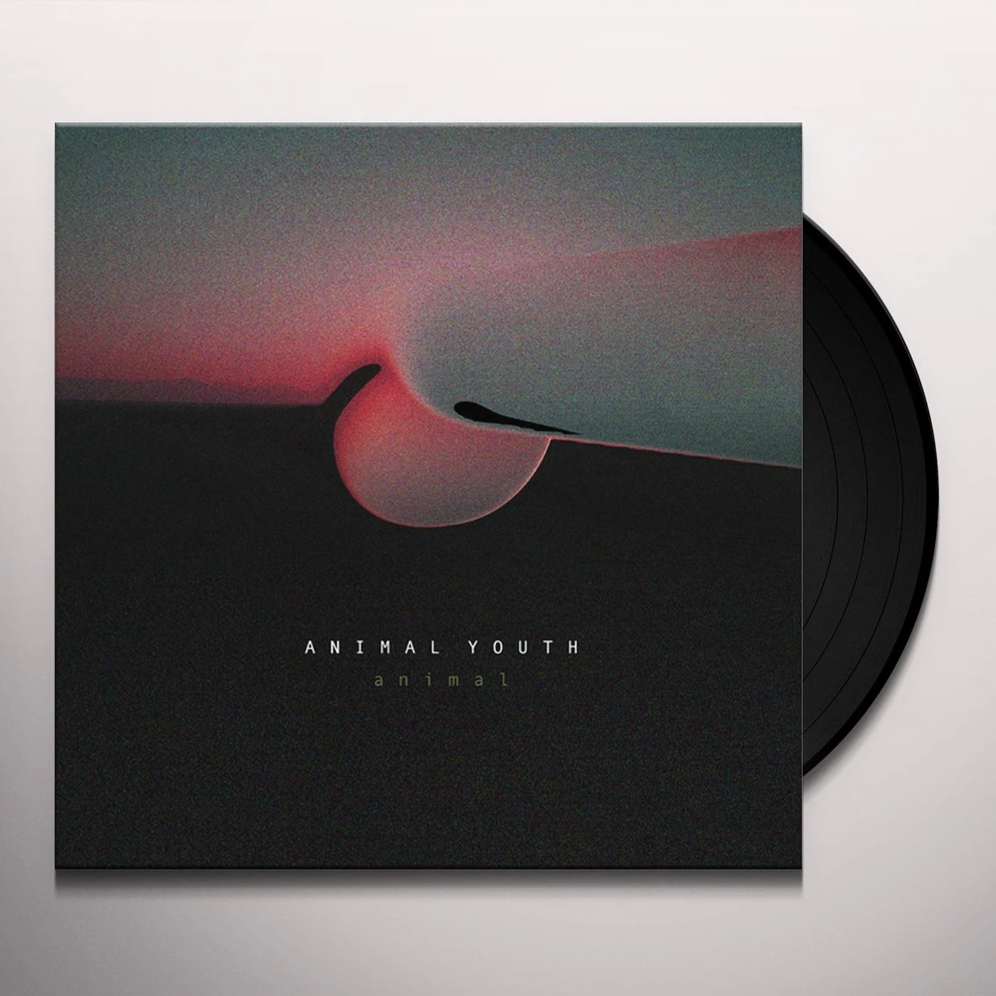 Animal Youth Animal Vinyl Record