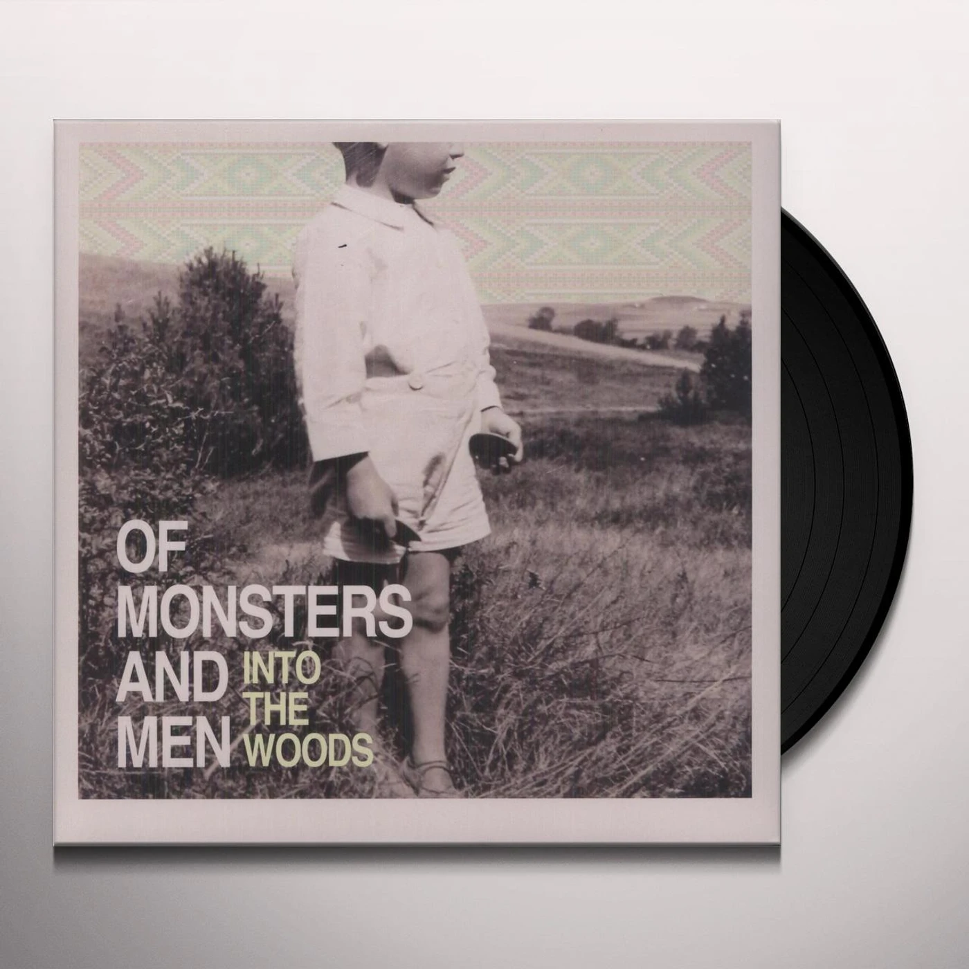 Of Monsters and Men Into The Woods Vinyl Record
