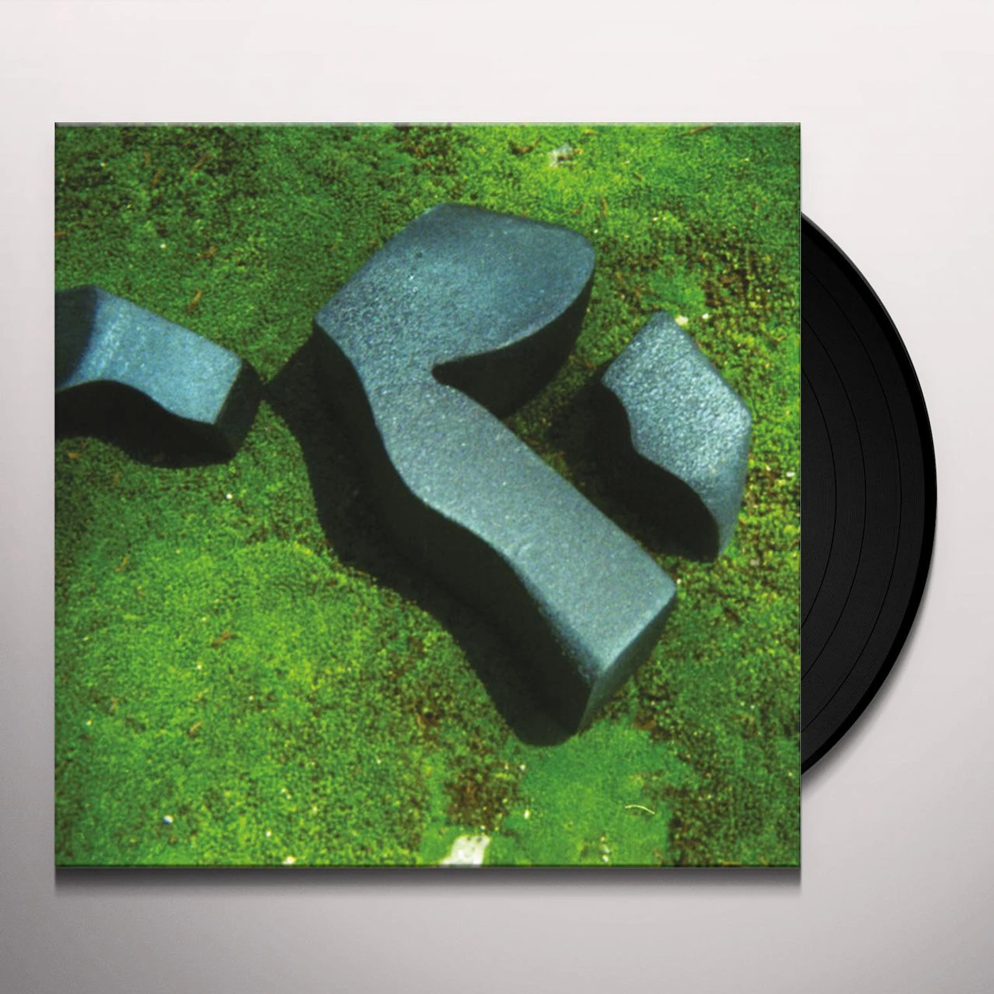Camila Fuchs Heart Pressed Between Stones Vinyl Record