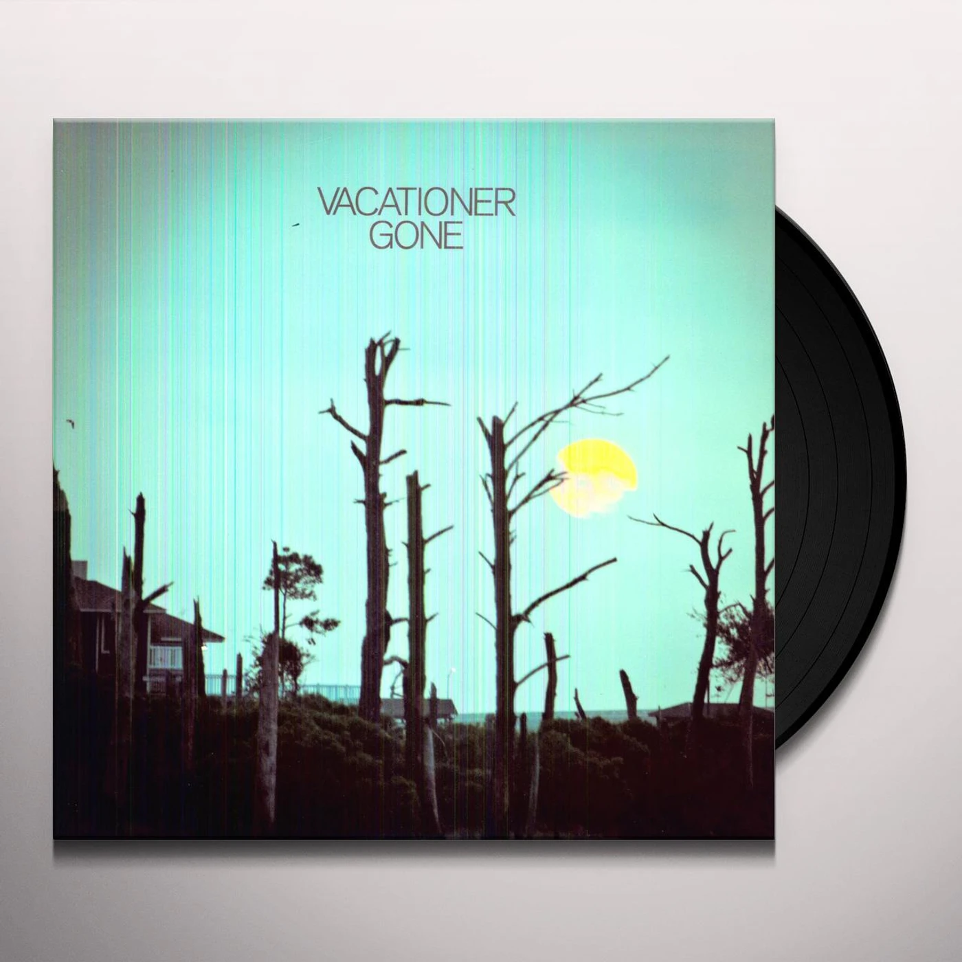 Vacationer Gone Vinyl Record