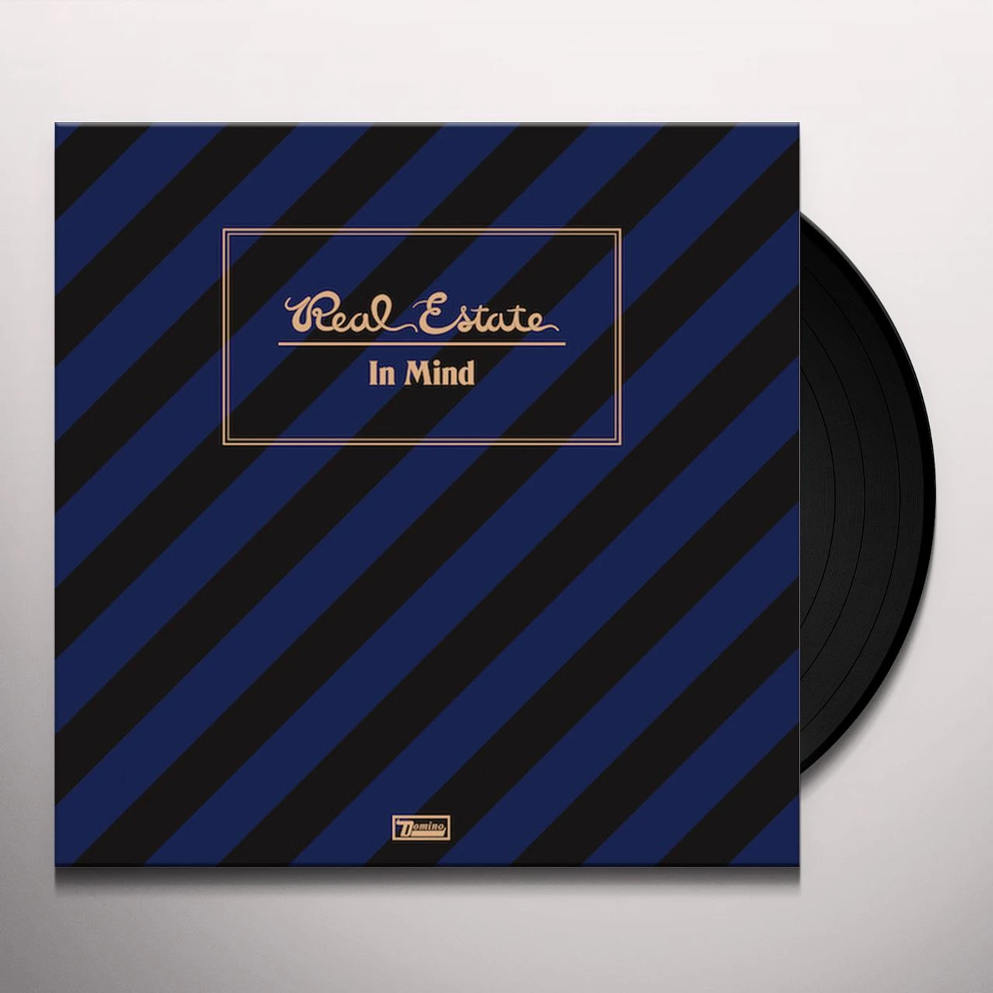 Real Estate In Mind Vinyl Record