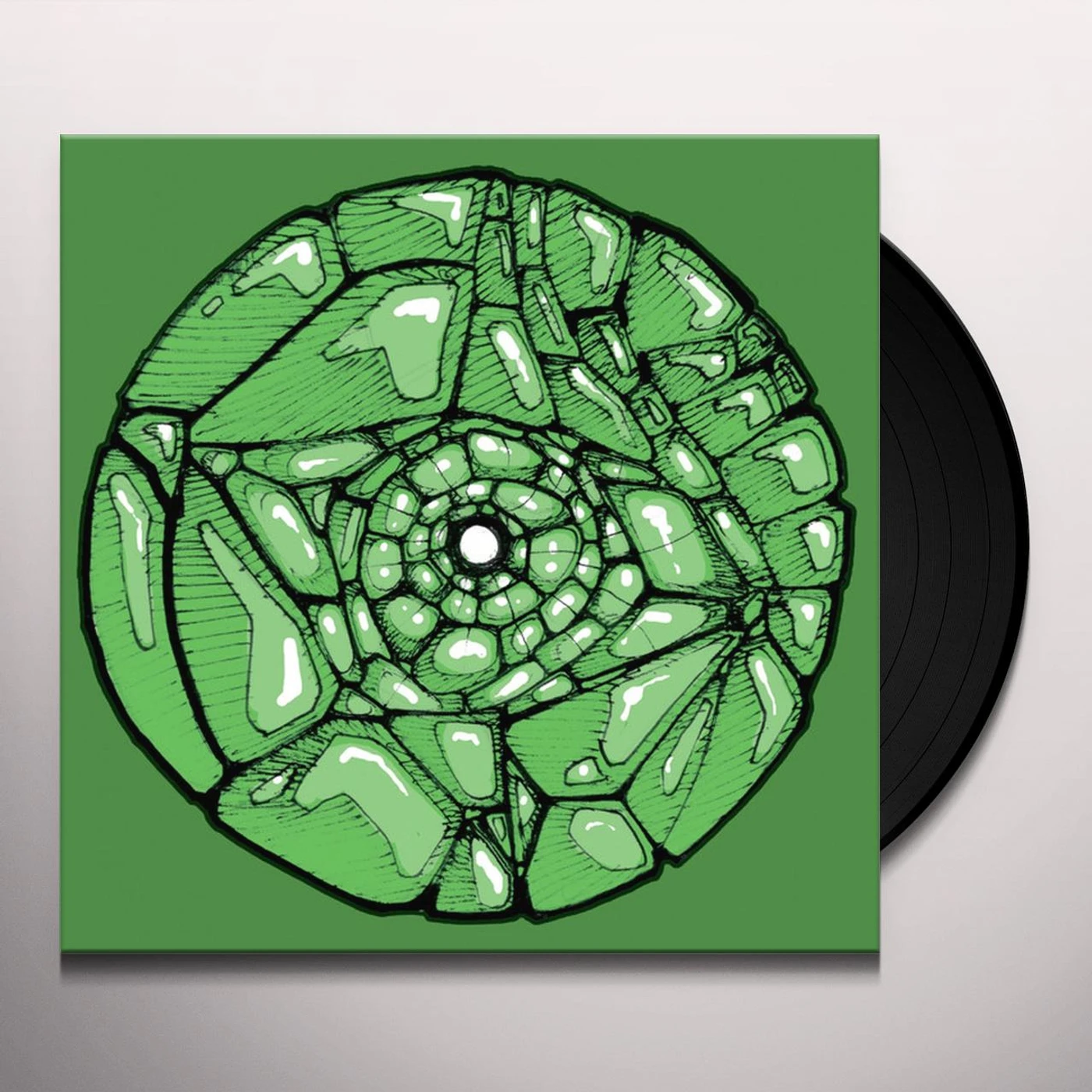 Francisco Allendes So Long Reptilians Vinyl Record