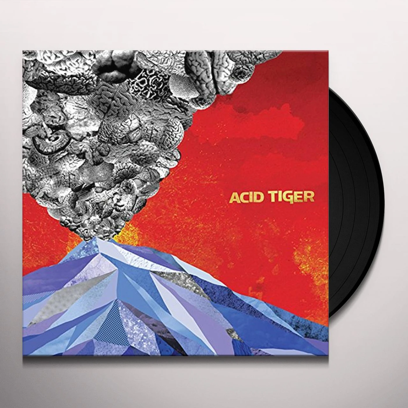 Acid Tiger Vinyl Record
