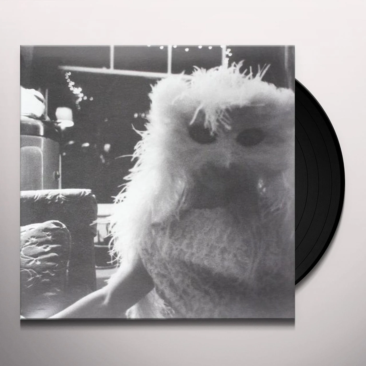 GLORY OF FRUIT BATS Vinyl Record
