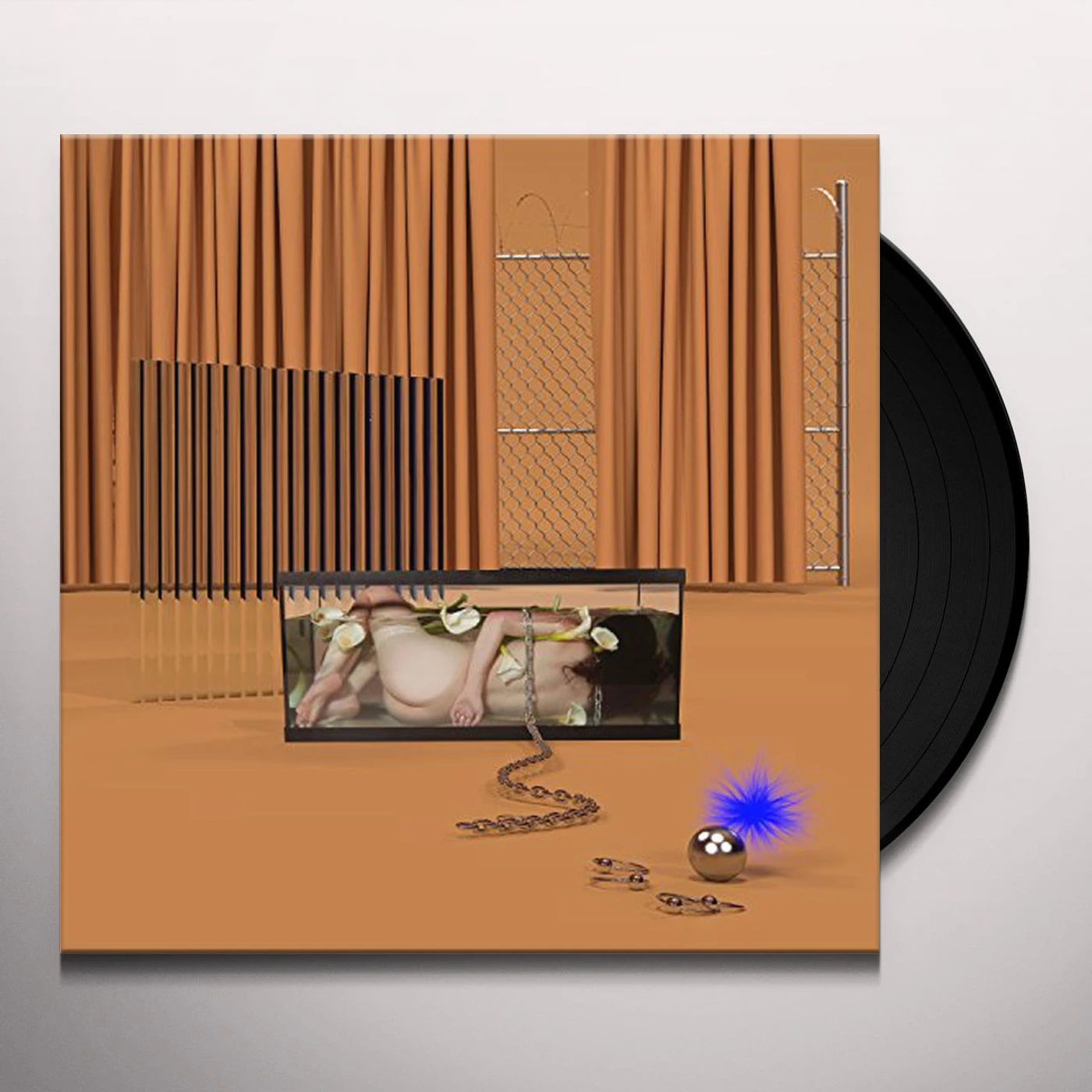 FRIGS Basic Behaviour (LP) Vinyl Record