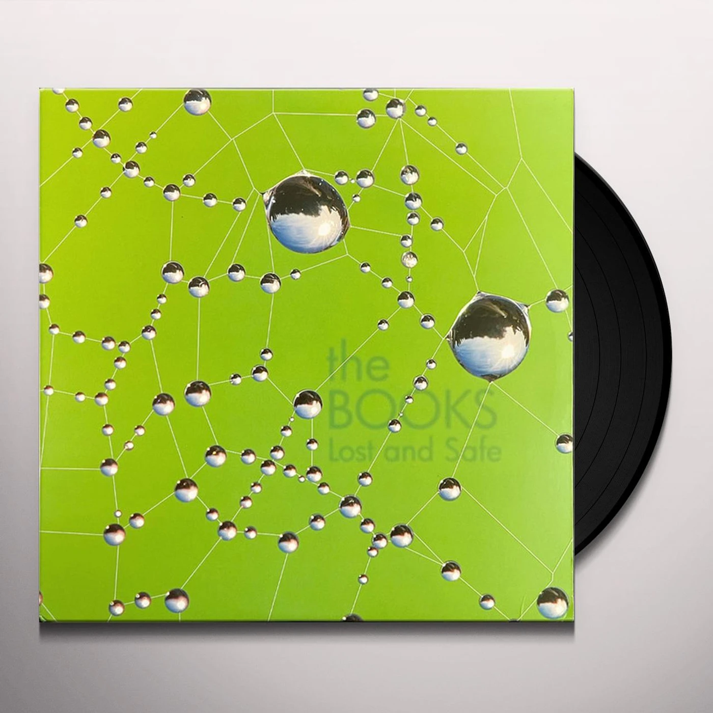 Books Lost And Safe Vinyl Record