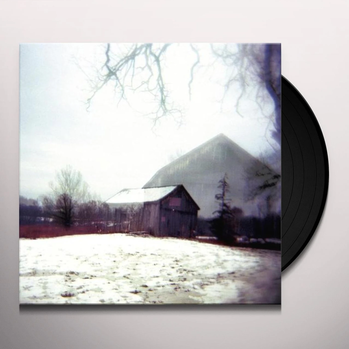 Horse Feathers House With No Home Vinyl Record
