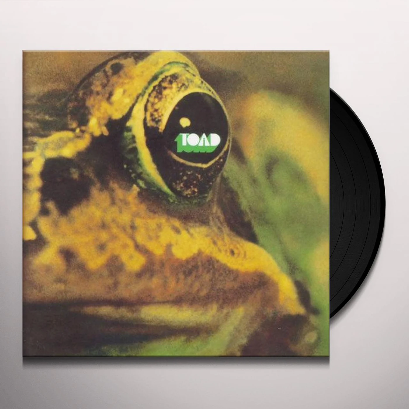 Toad Vinyl Record