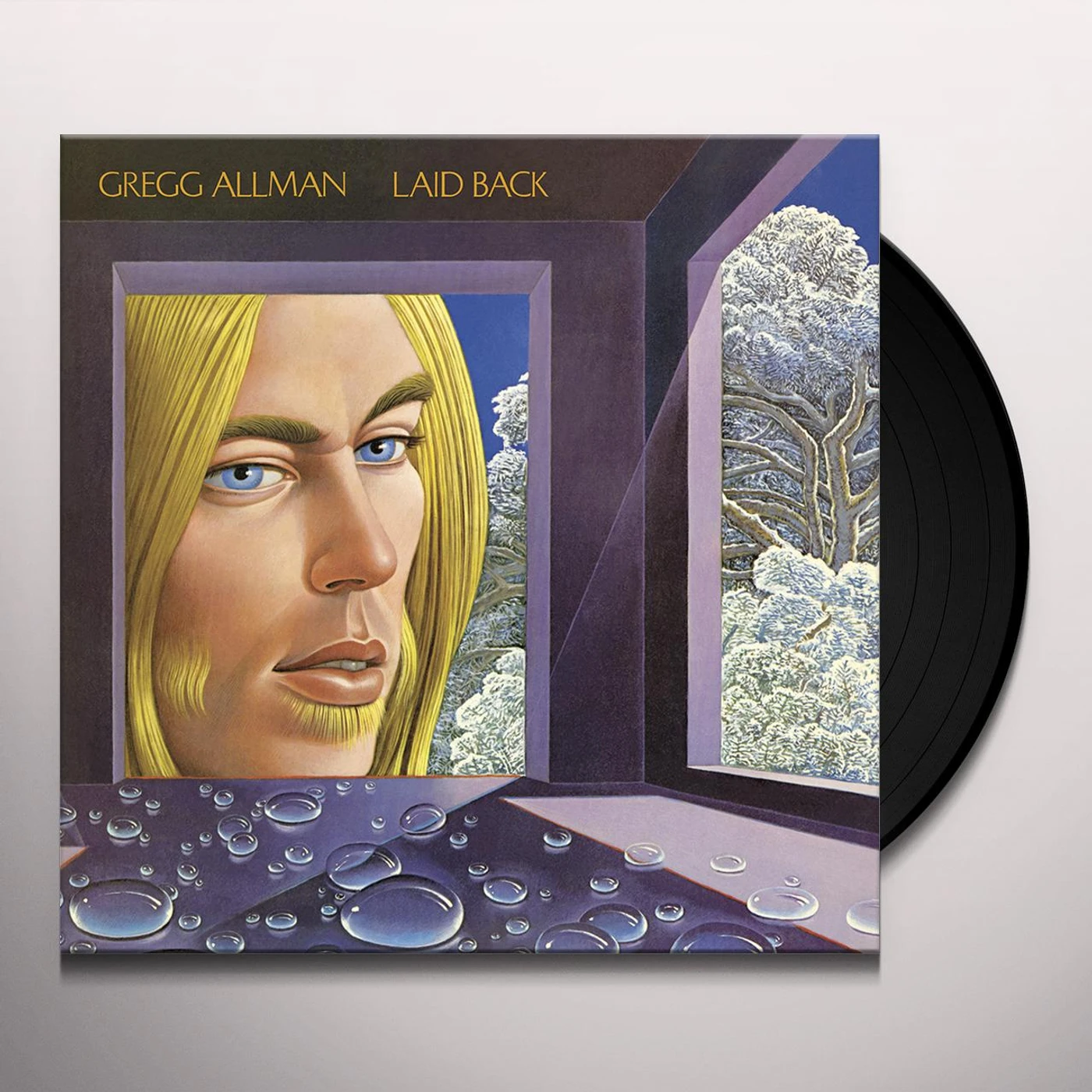 Gregg Allman Laid Back Vinyl Record