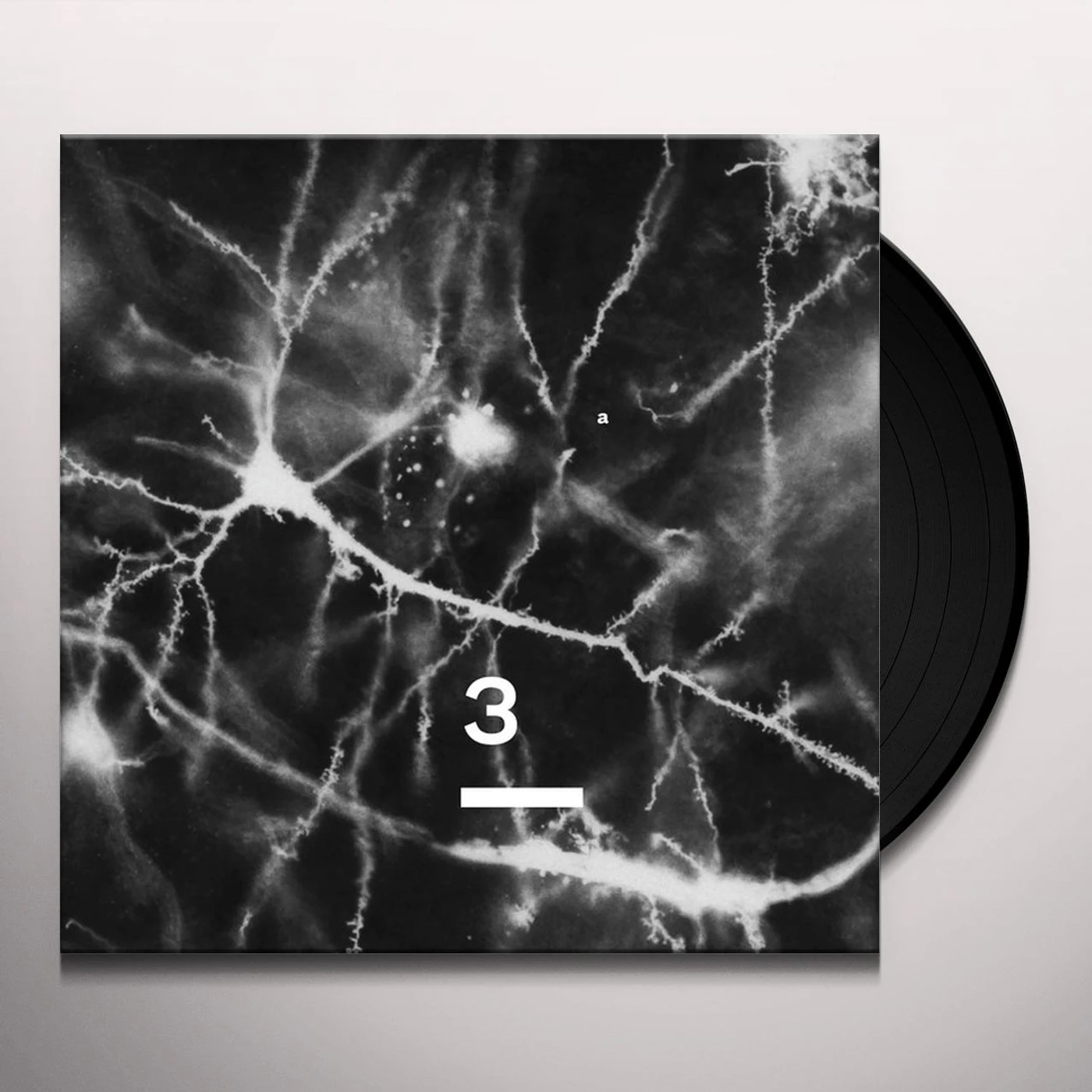 Synapse Knowing Something 3 Vinyl Record