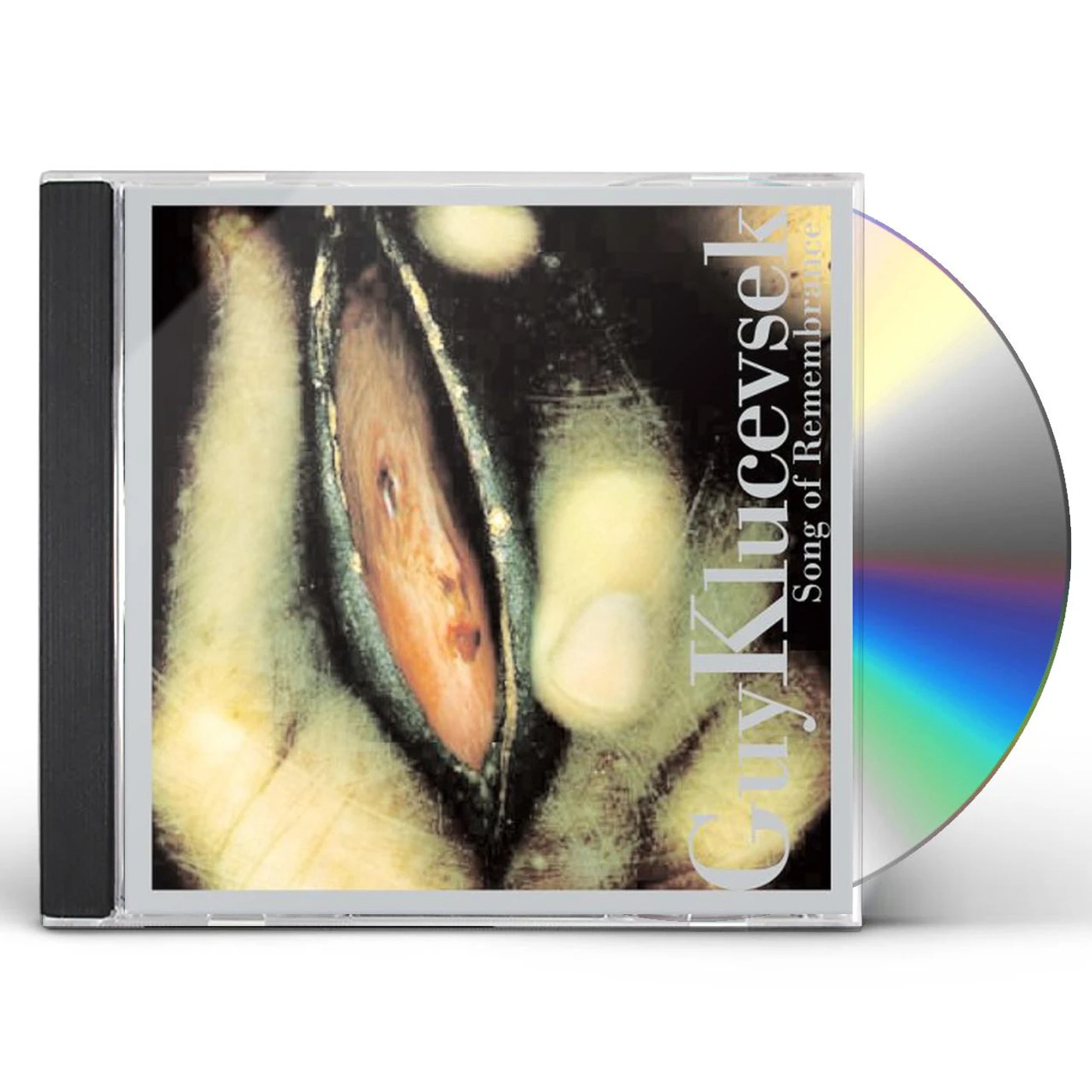Guy Klucevsek SONG OF REMEMBRANCE CD