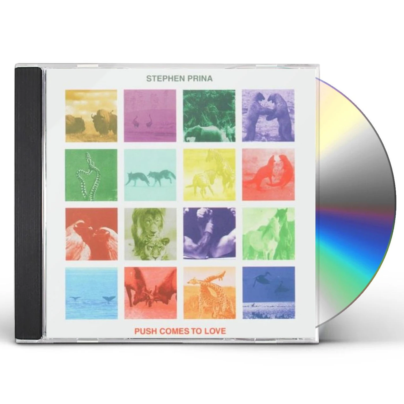 Stephen Prina PUSH COMES TO LOVE CD