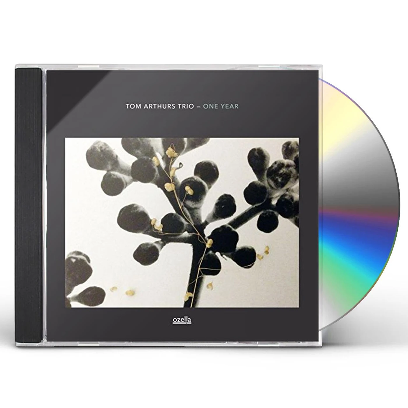 Tom Arthurs ONE YEAR CD