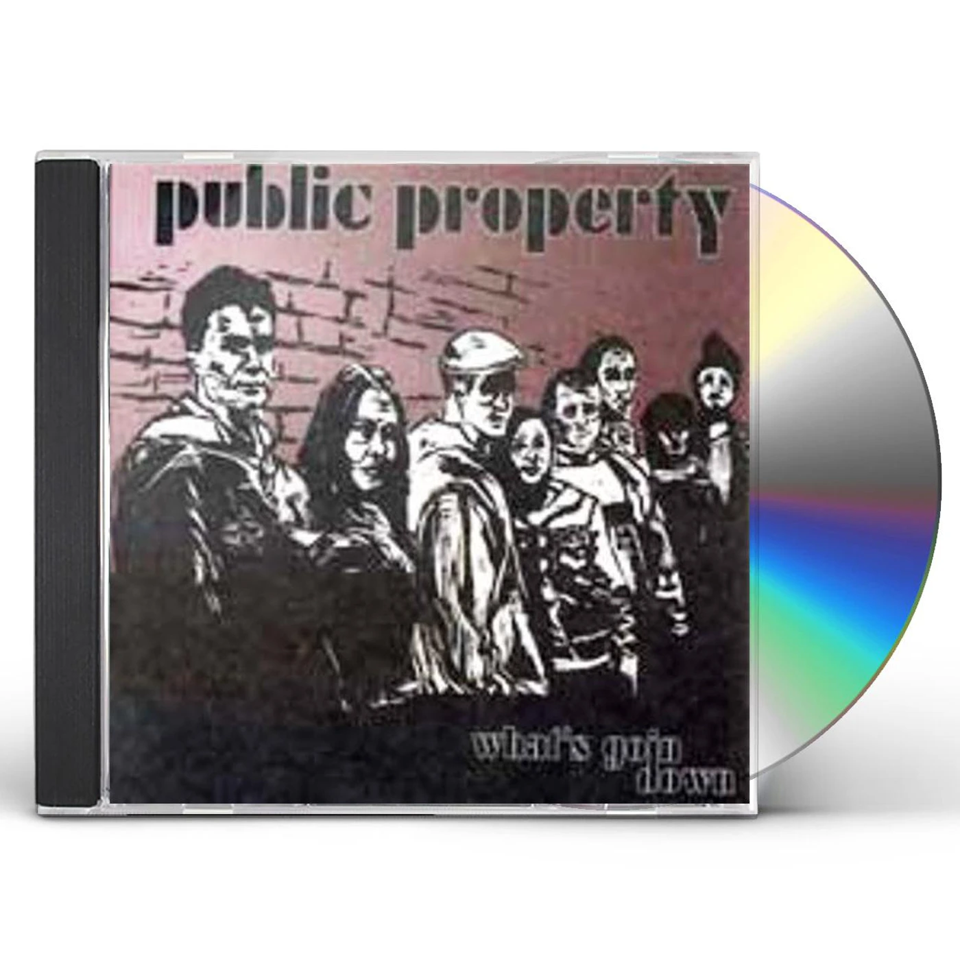 Public Enemy WHAT'S GOIN DOWN CD