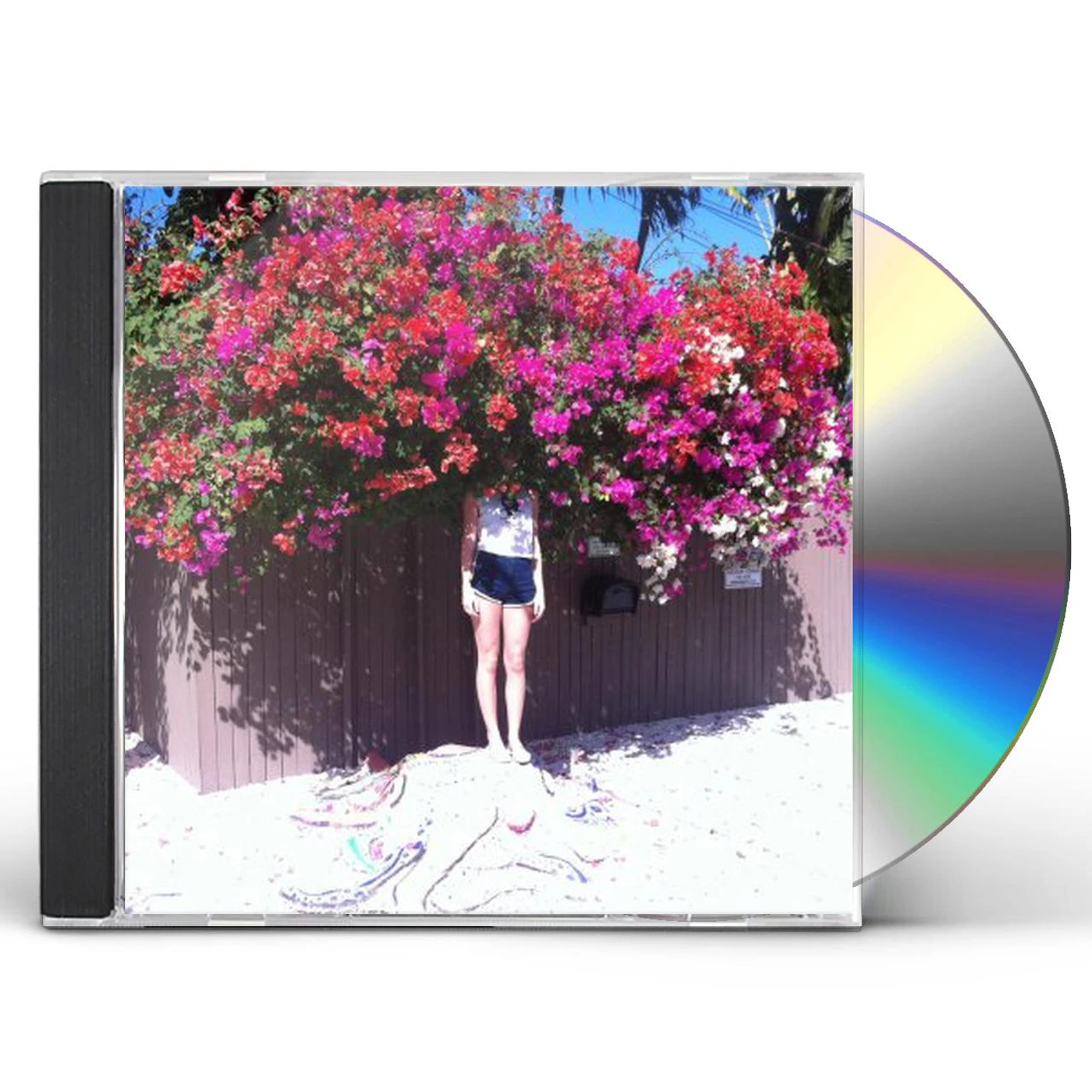 Elf Power SUNLIGHT ON THE MOON CD