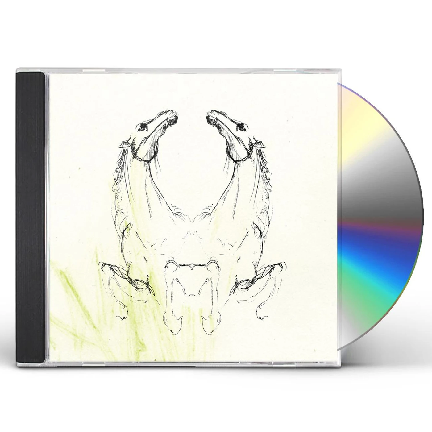 My Brightest Diamond TEAR IT DOWN CD