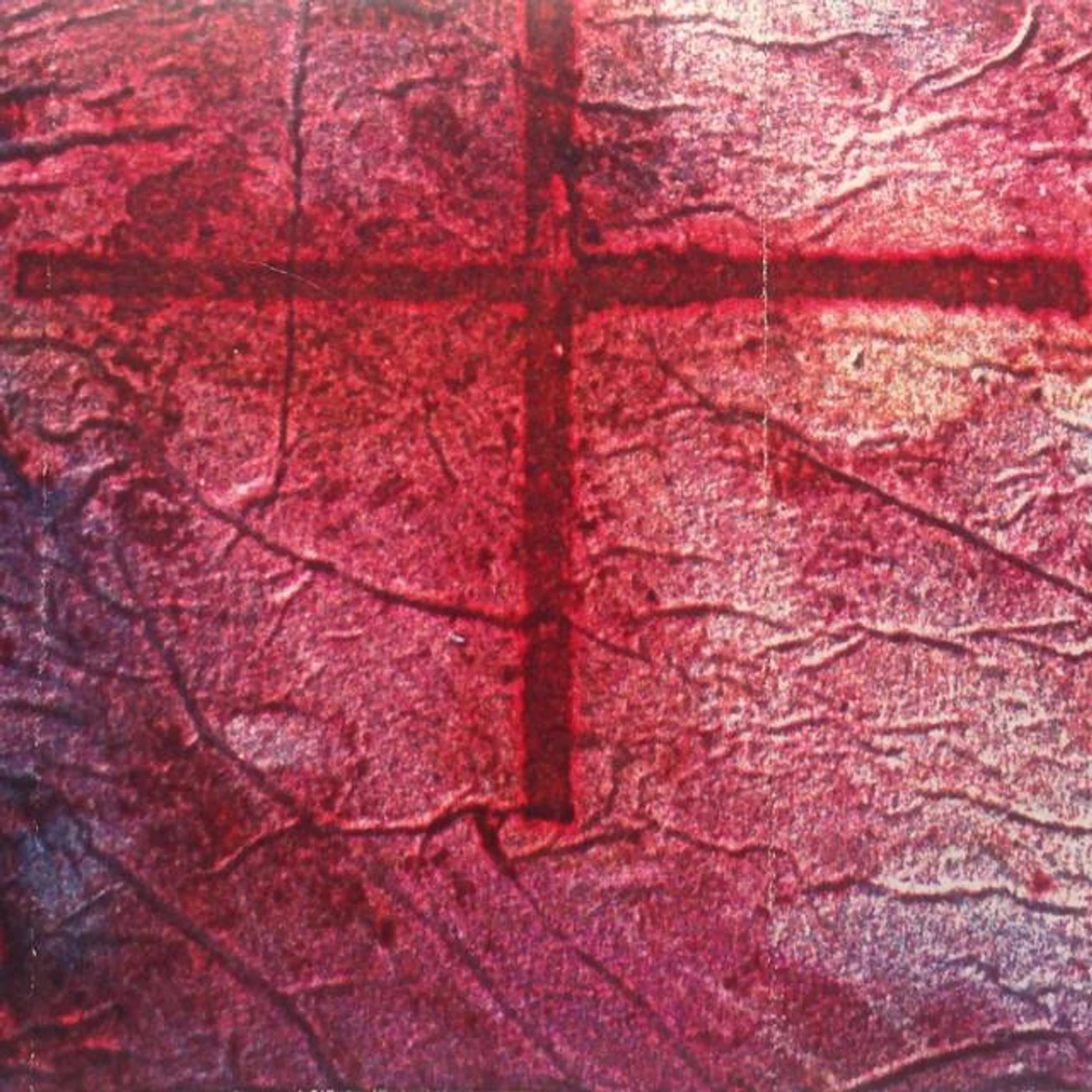 41 Degrees Brand Page