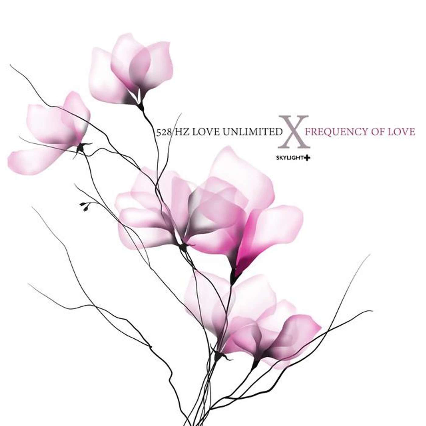 528 Hz Love Unlimited Brand Page