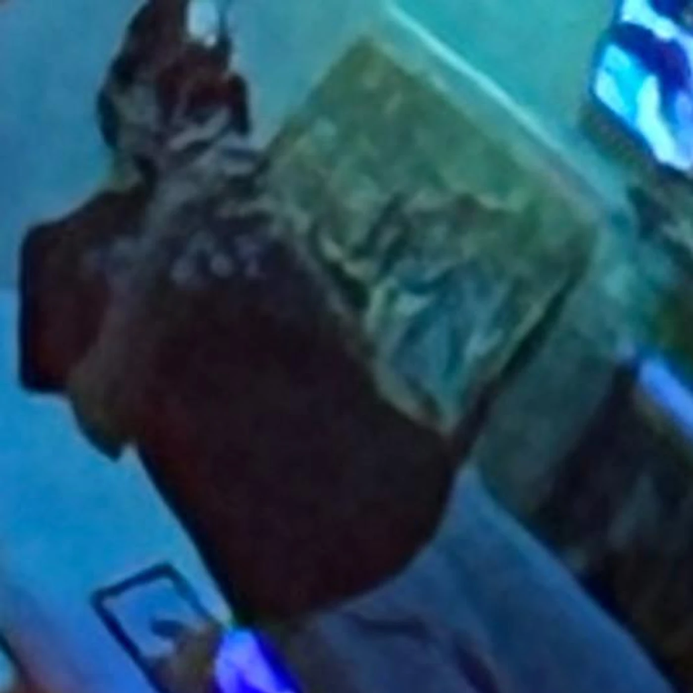 8BIT WIZRD Brand Page