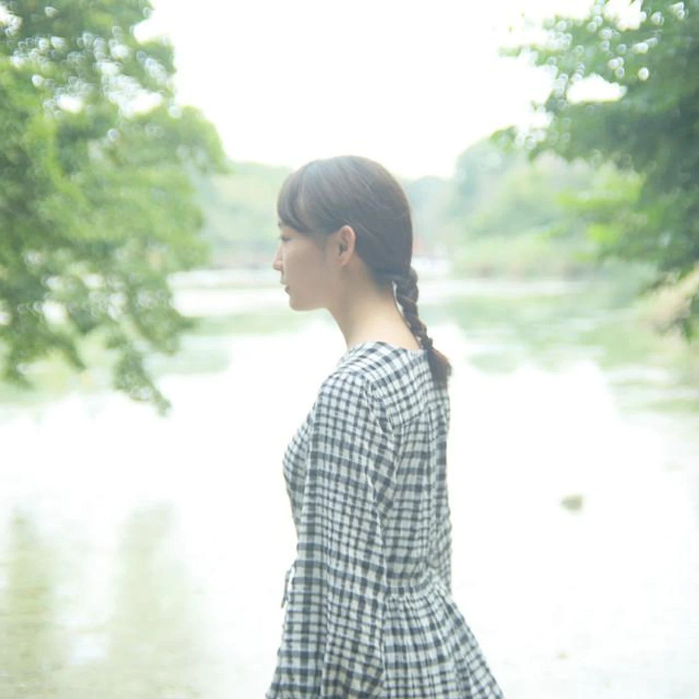 白と枝