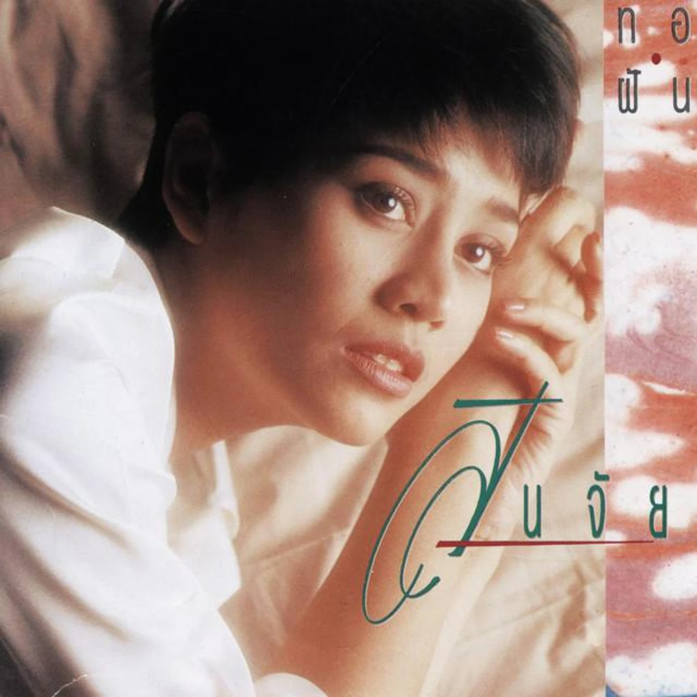 นก สินจัย Brand Page