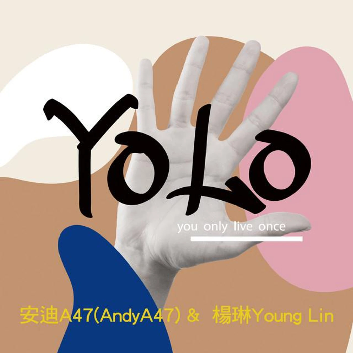 安迪A47 Brand Page