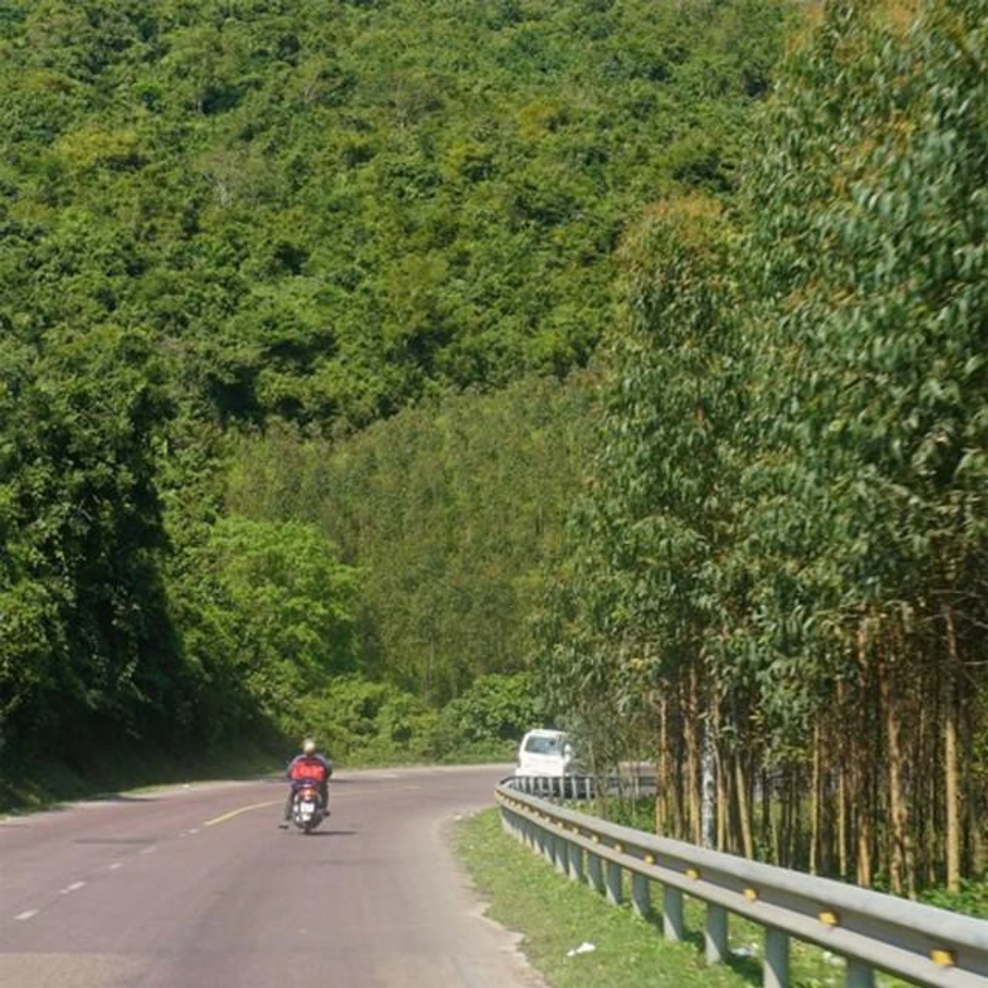 Ánh Tuyết Brand Page