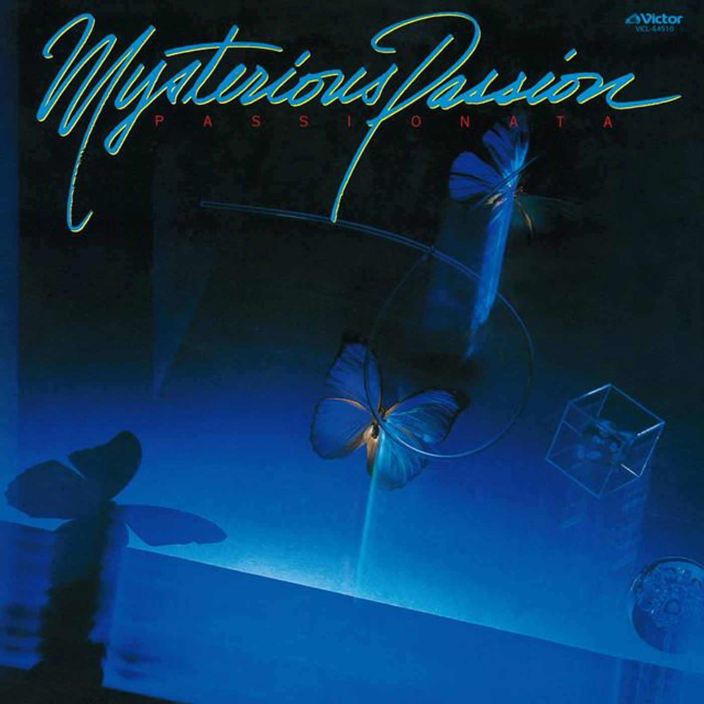 パッショナータ Brand Page