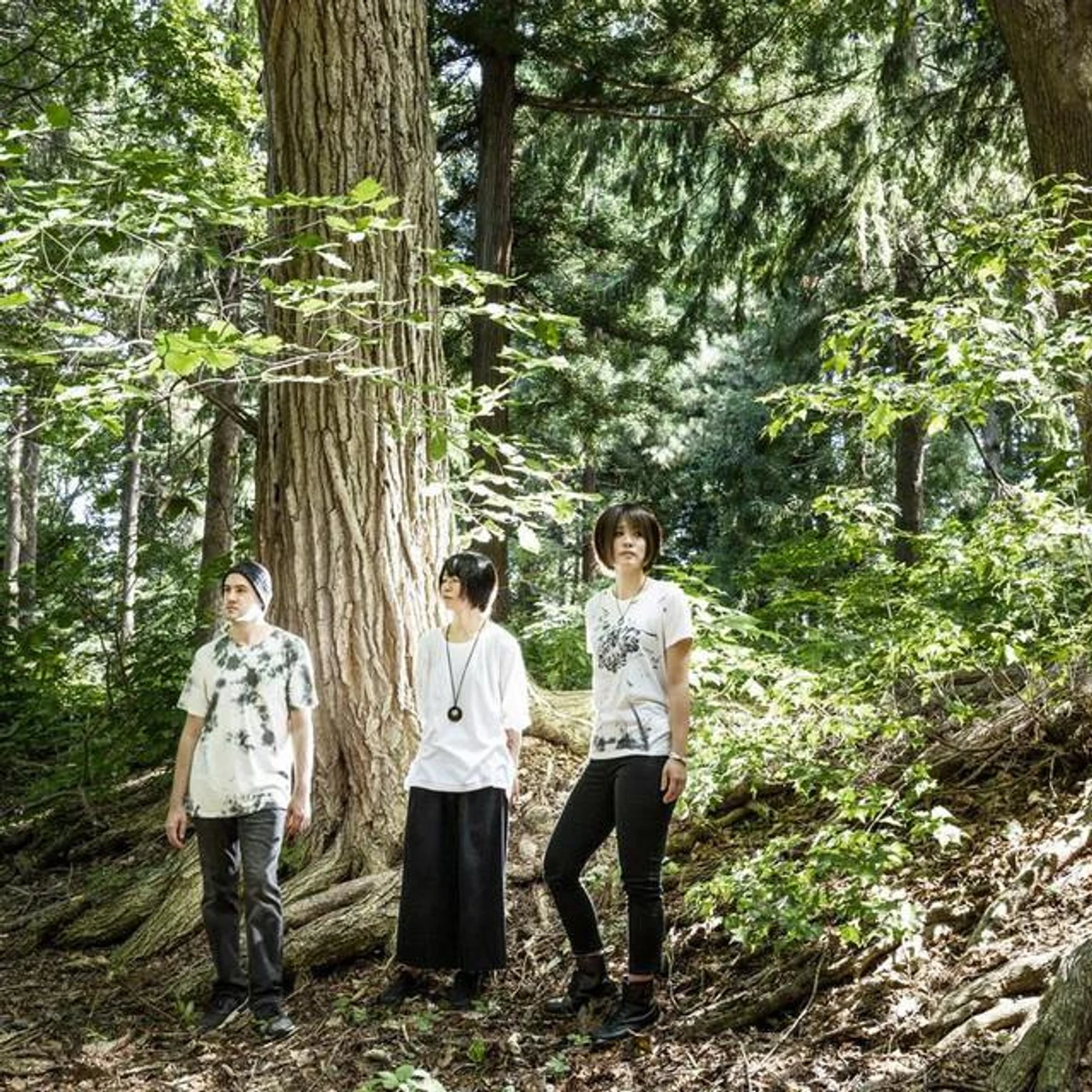 葉緑体クラブ Brand Page