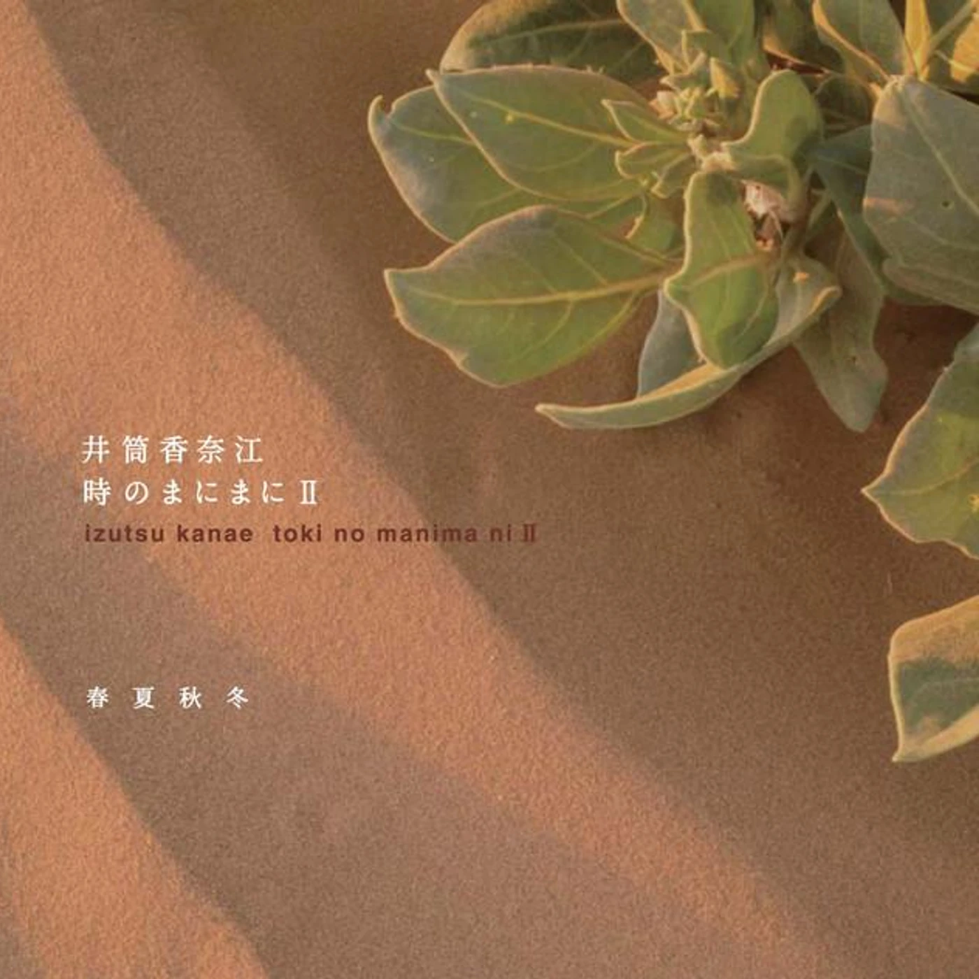 井筒香奈江 Brand Page