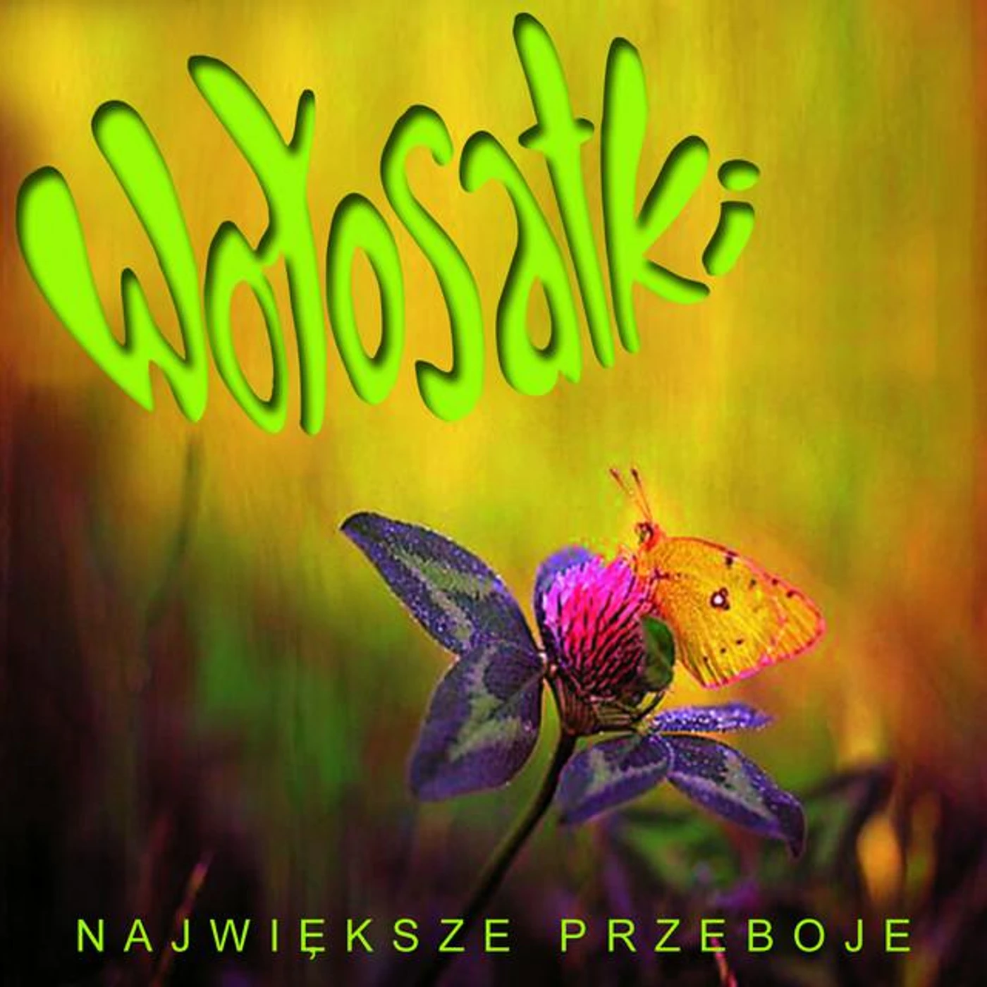Wołosatki Brand Page
