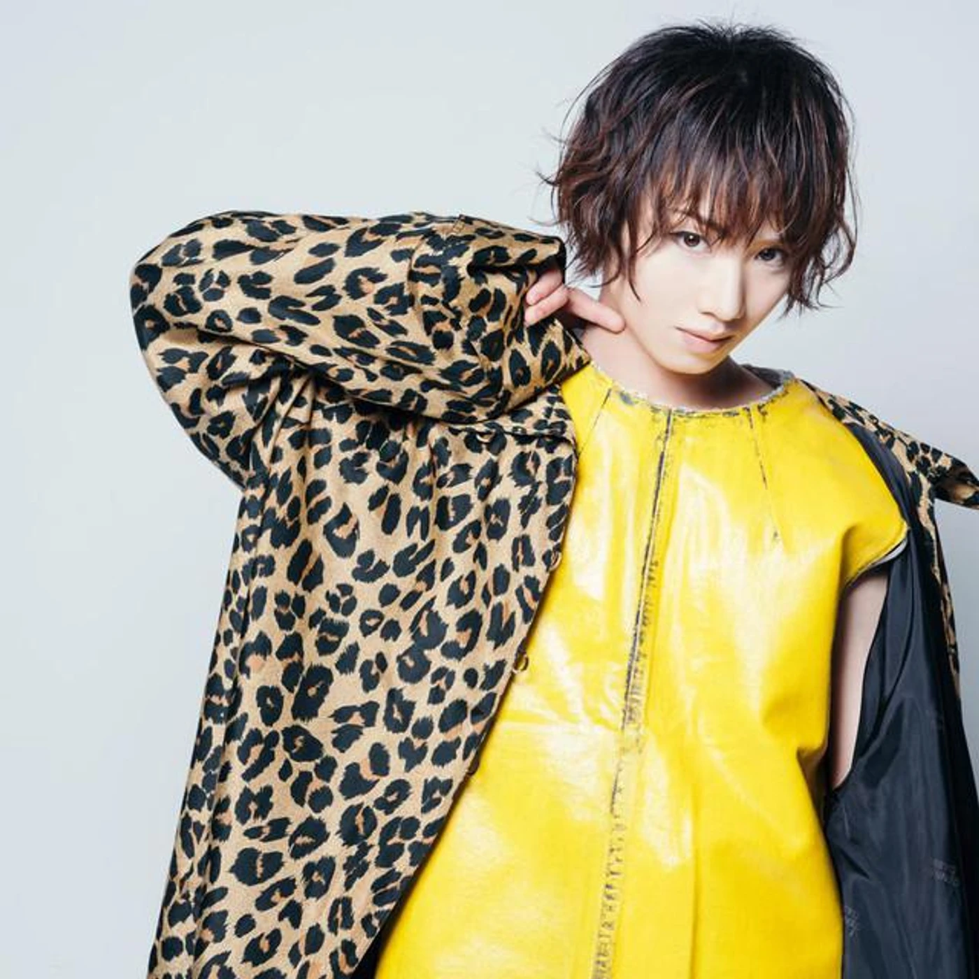 植田圭輔 Brand Page