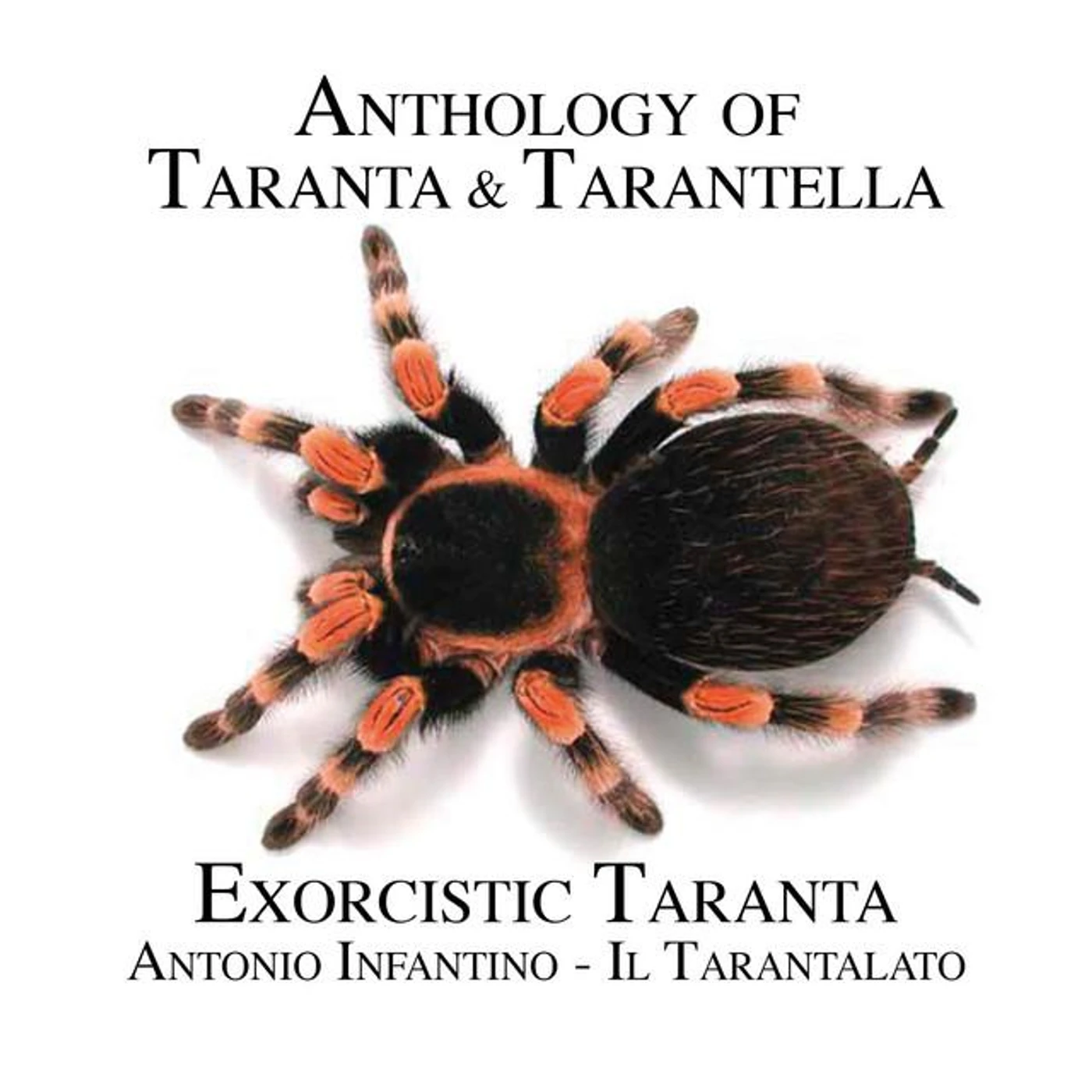 Antonio Infantino – Il Tarantalato Brand Page