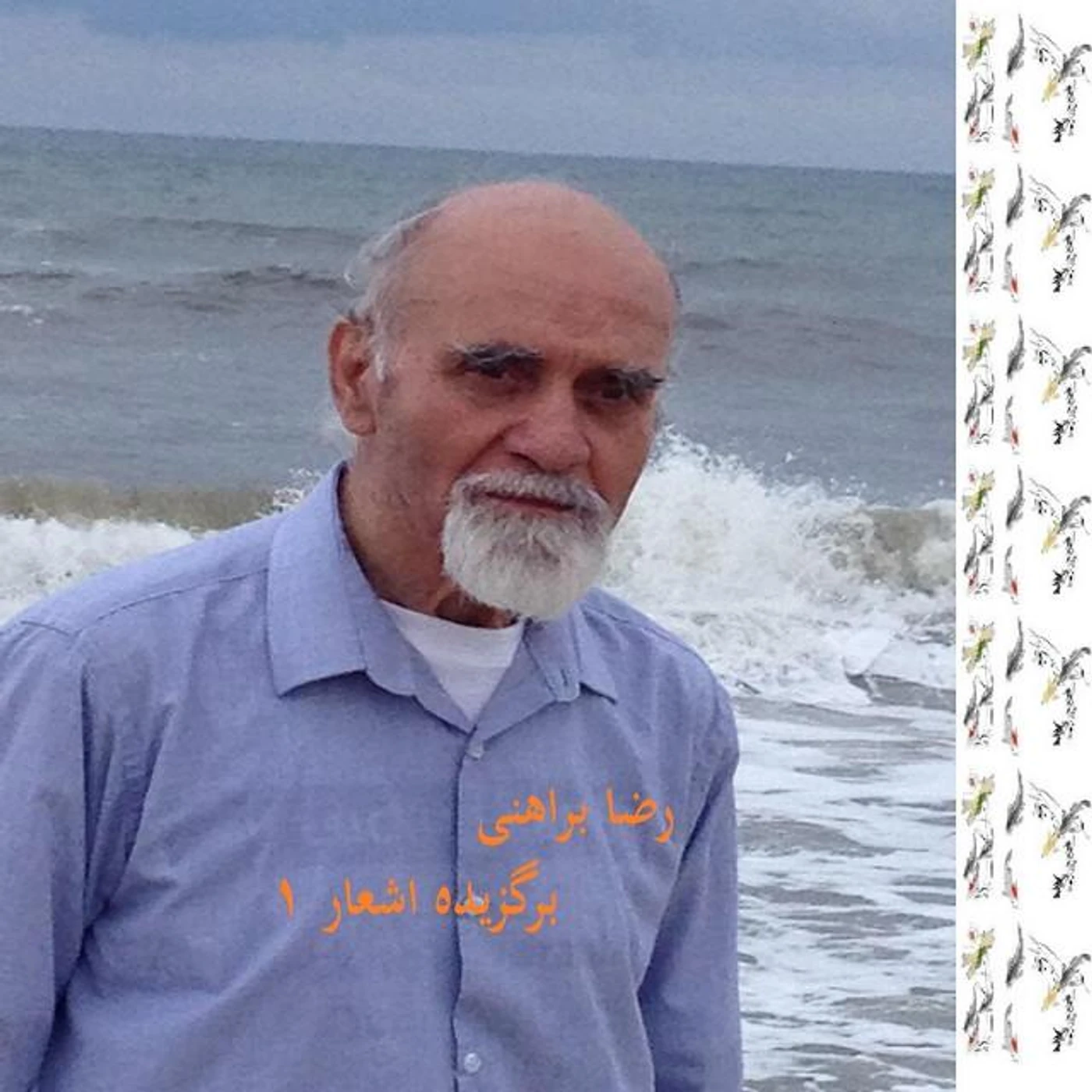 رضا براهنی Brand Page