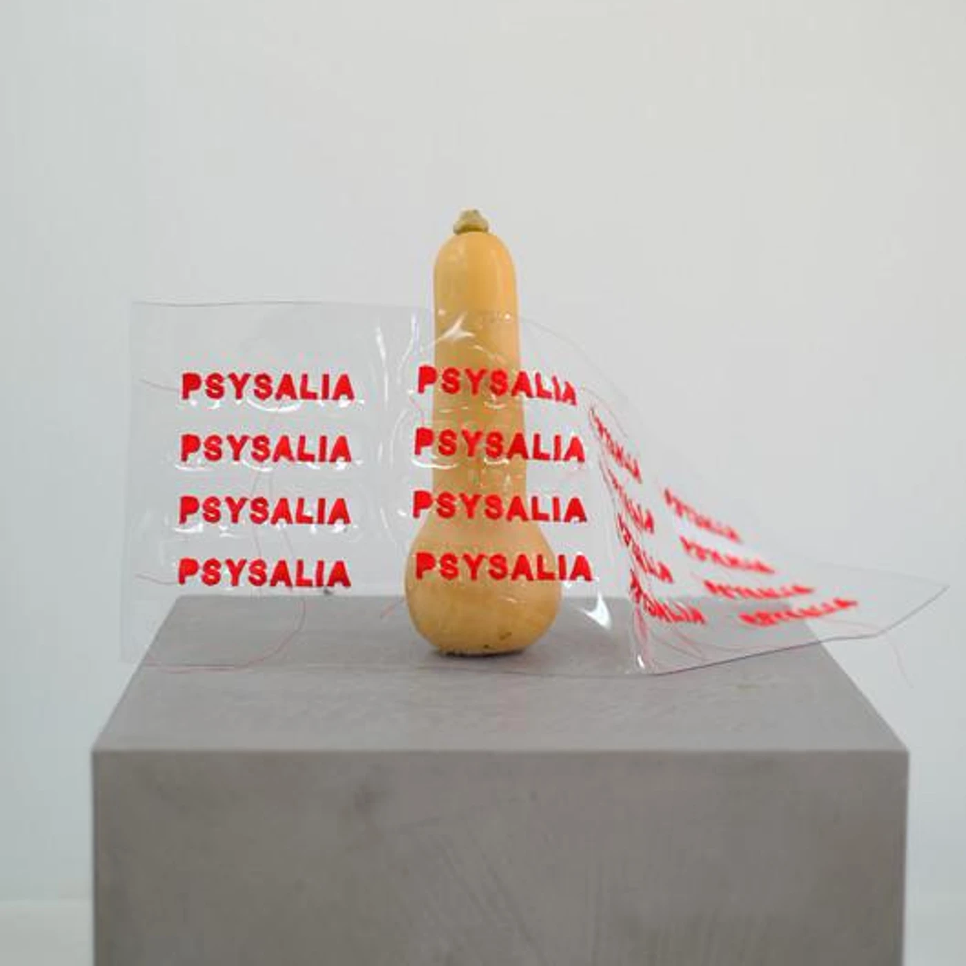 PSYSALIA 人 Brand Page