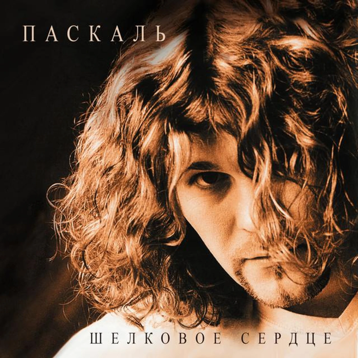 Паскаль Brand Page