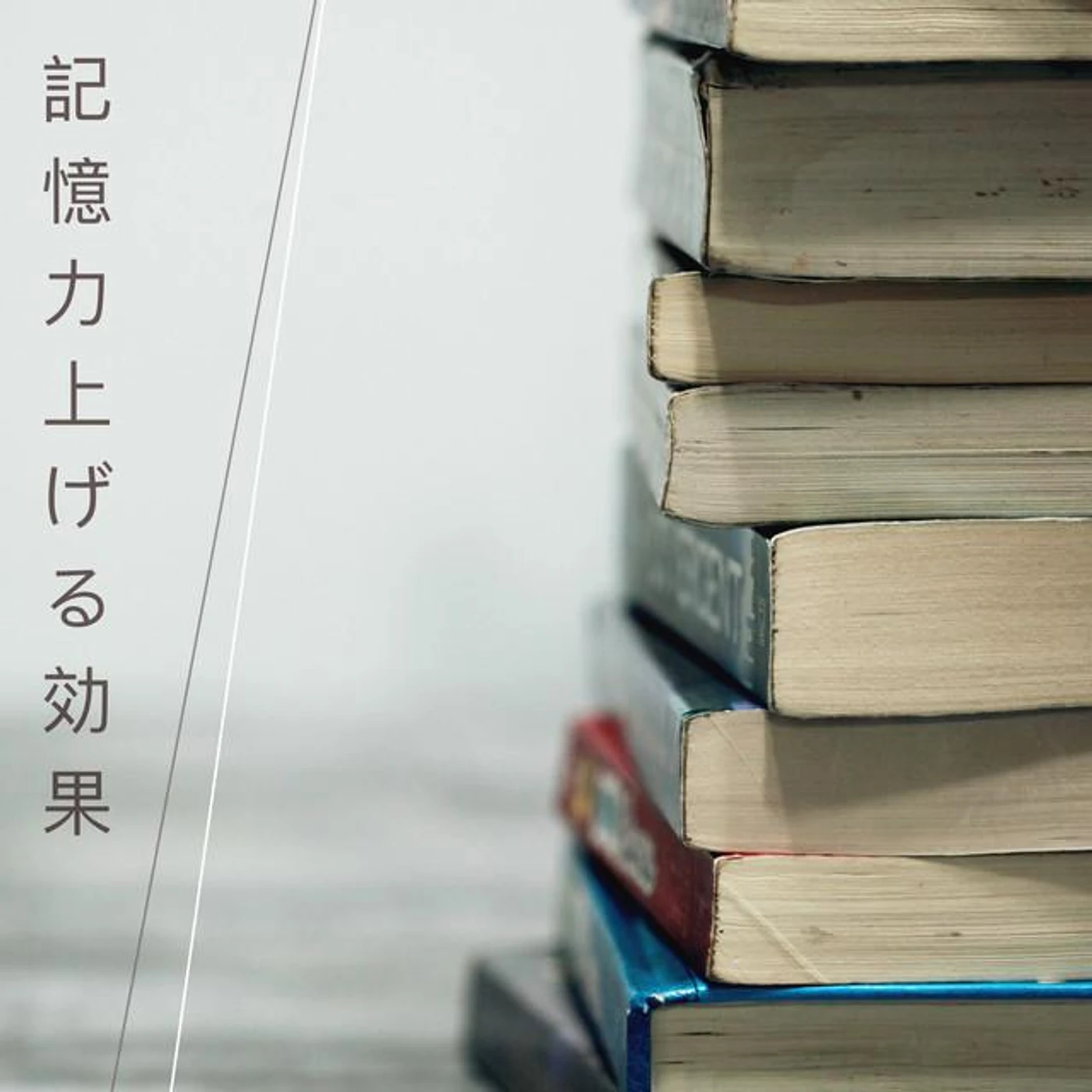 読書用 Maestro Brand Page