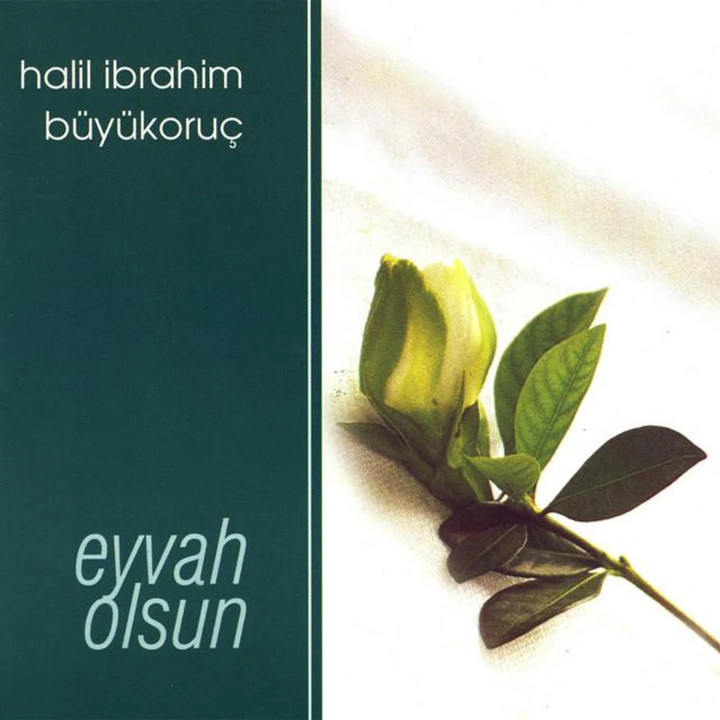 Halil İbrahim Büyükoruç