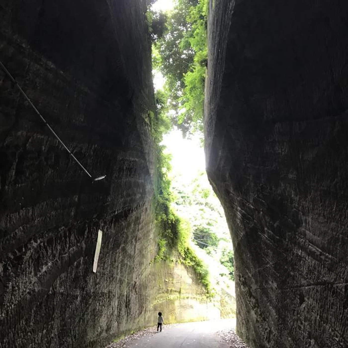 柴田新之助